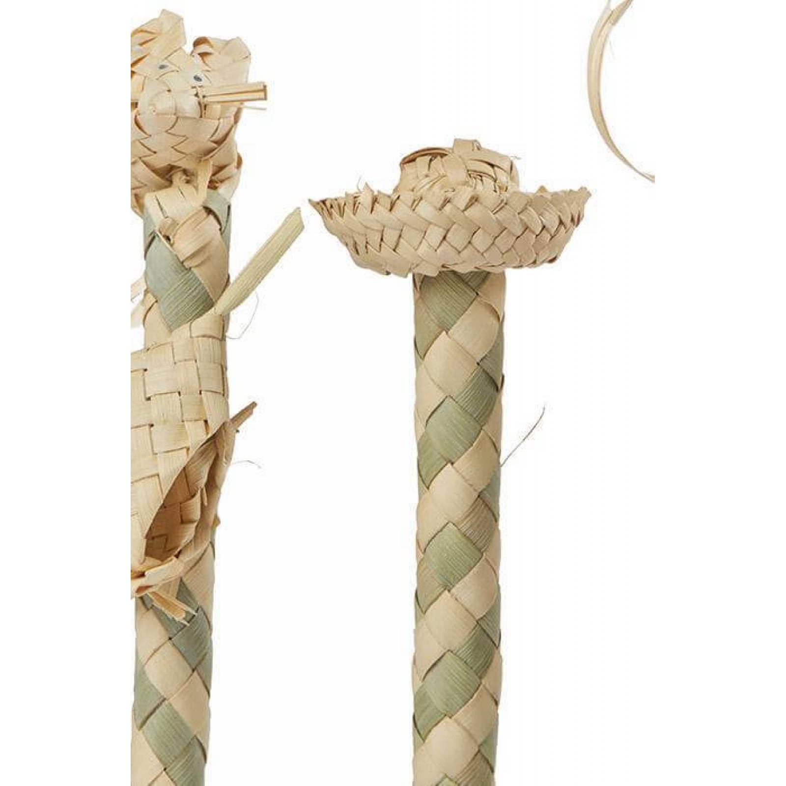 Funda para lapicero con figura de palma