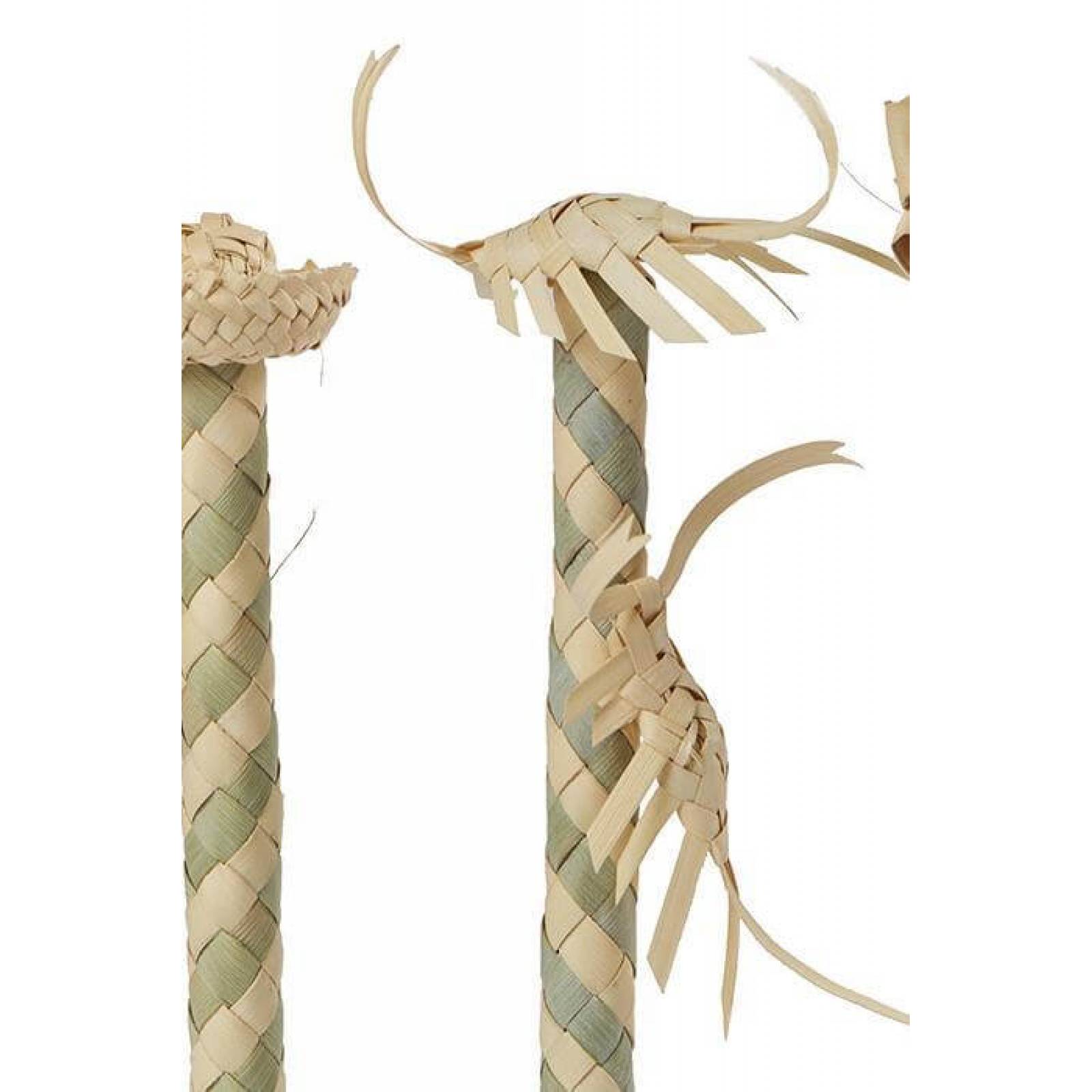 Funda para lapicero con figura de palma