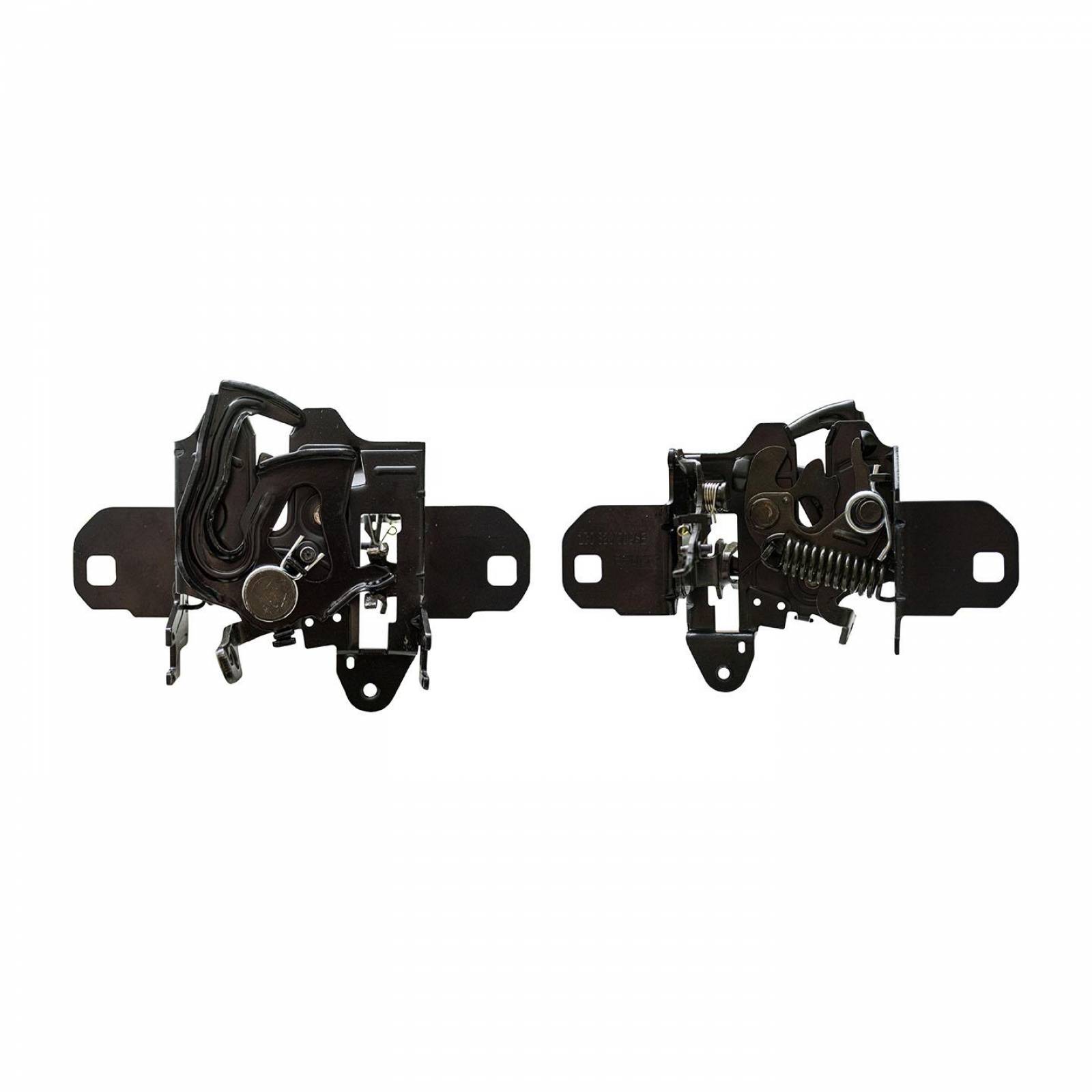 Chapa Cofre 1C0823509AD Bruck-Germany 