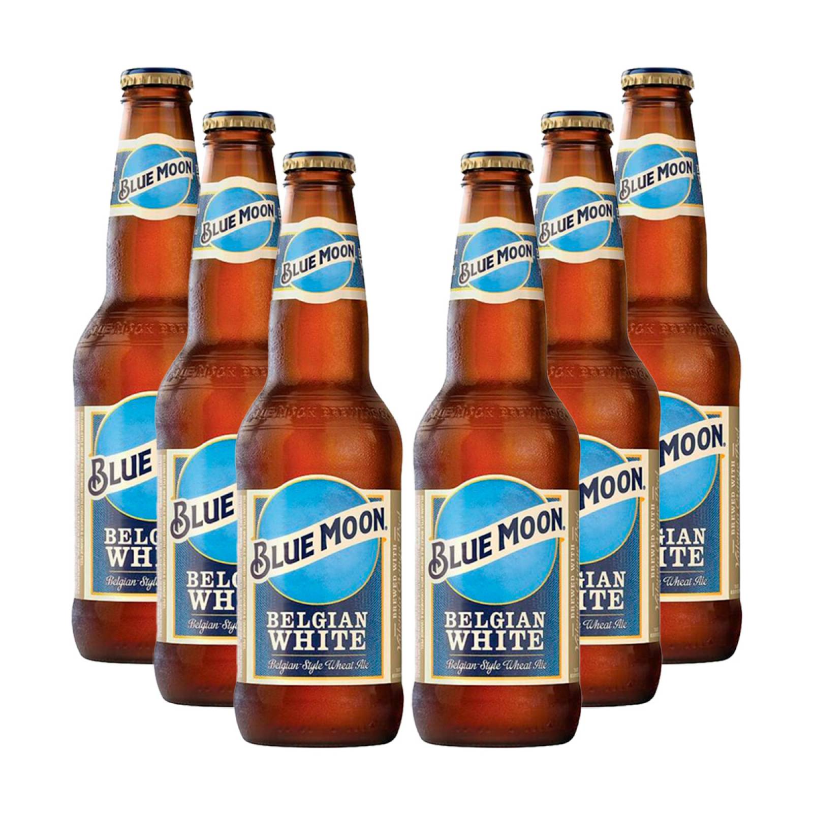 Six Pack Cerveza Blue Moon 355 Ml
