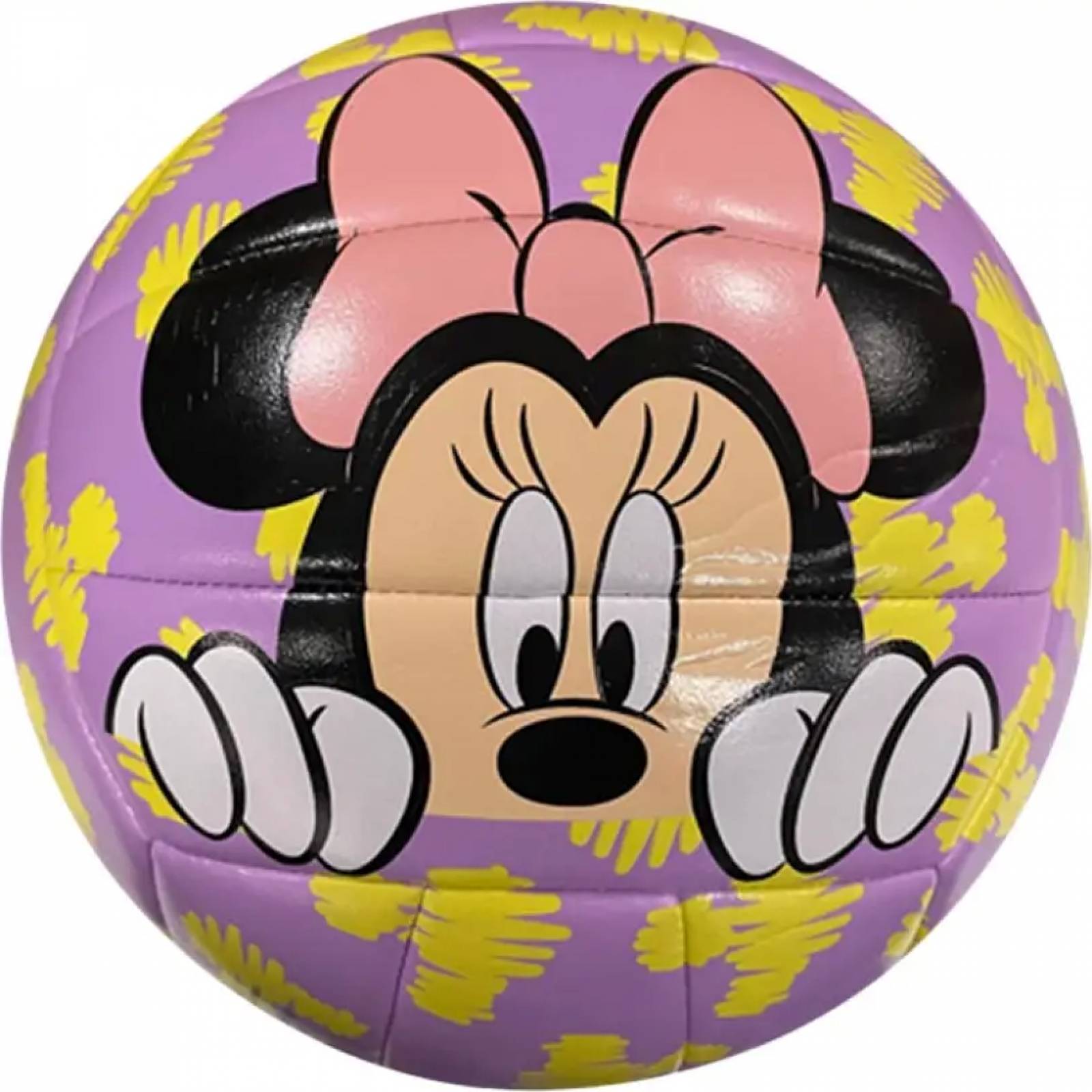 Balon/pelota deportes juegos al aire morado Lev Sports modelo 2124