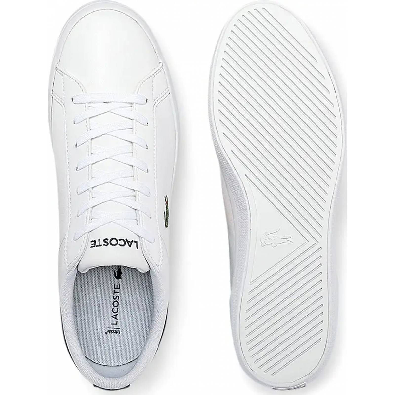Choclo tenis casual urbano caballero blanco piel Lacoste modelo 7042