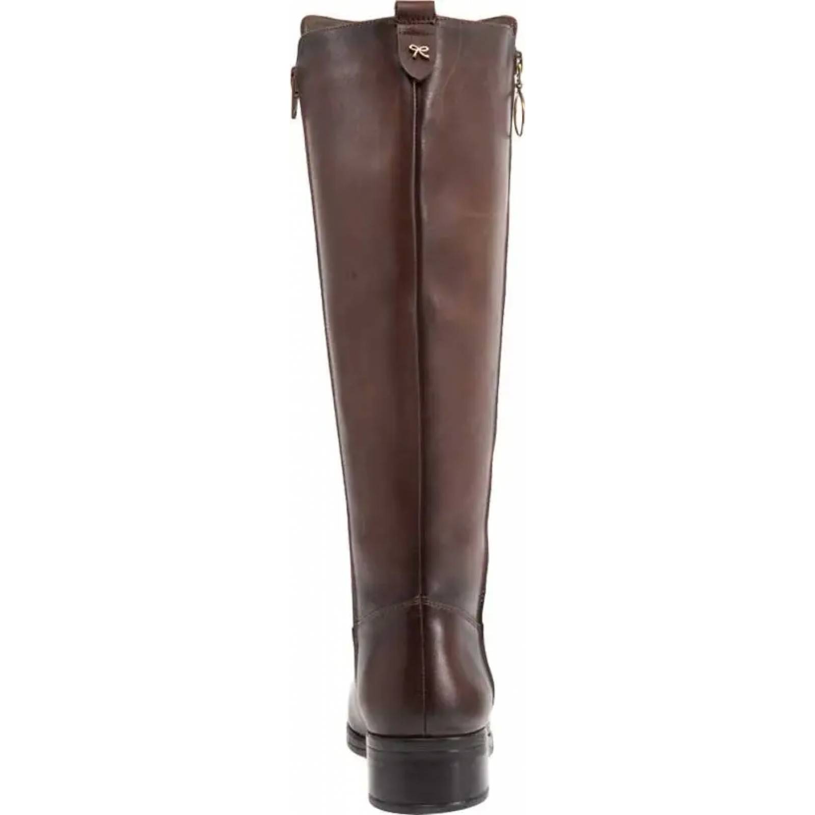 Zapatos Catalogo Botas Carlo Rossetti 2019 Carlo Rossetti Catalogo