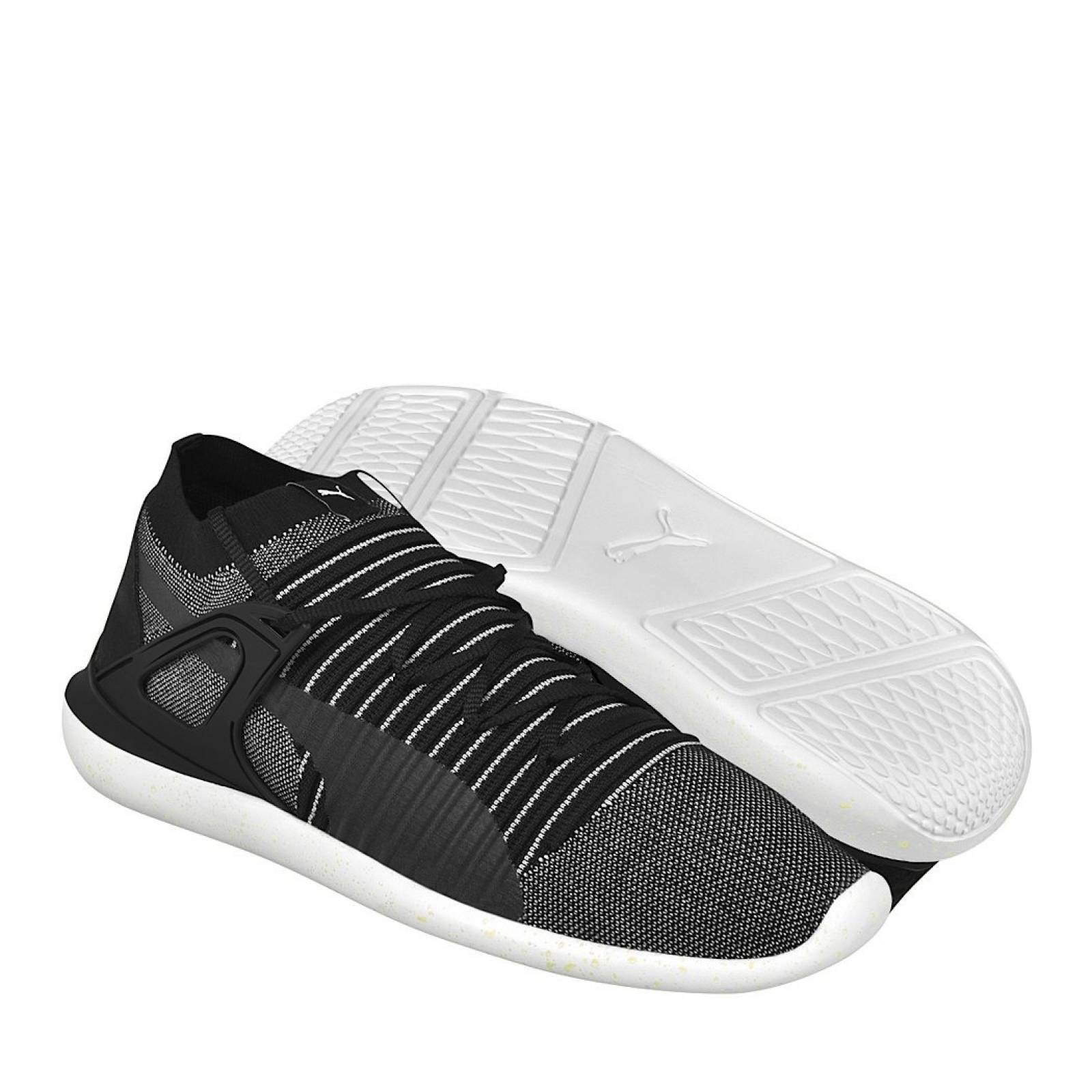 Puma evo cat best sale