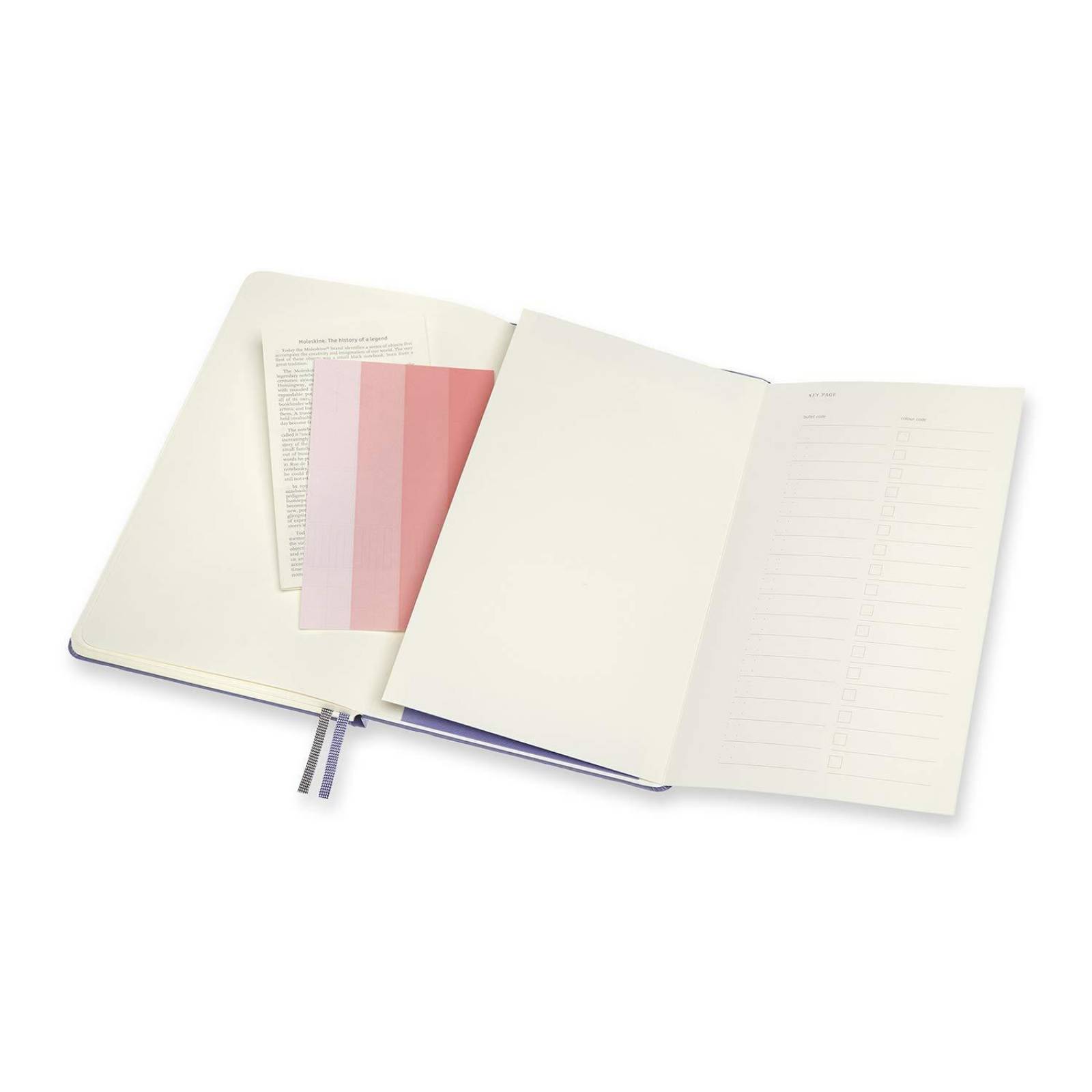 Libreta Moleskine Art Logbook Grande Violeta Punteada PDura 