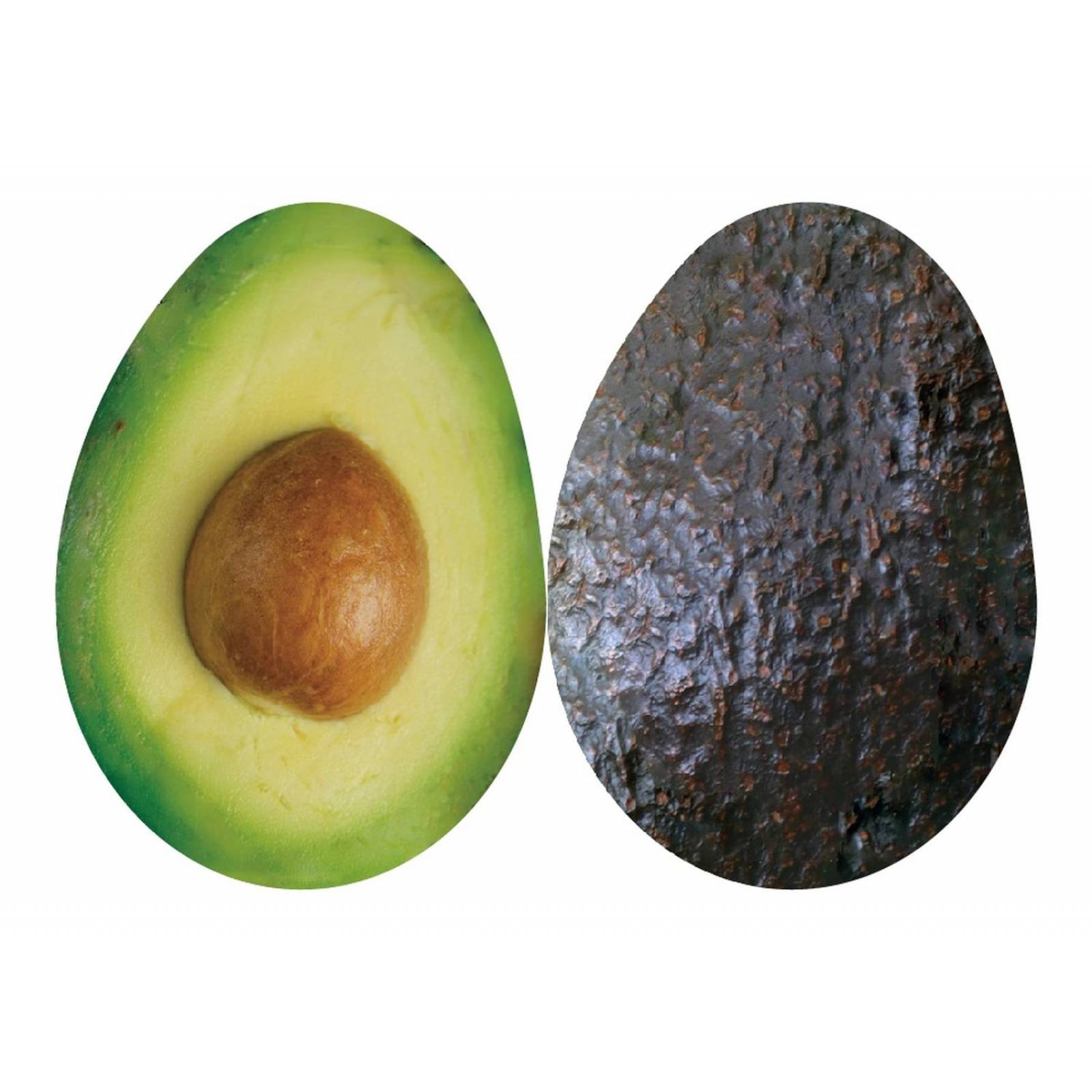 Monedero en forma de Aguacate 