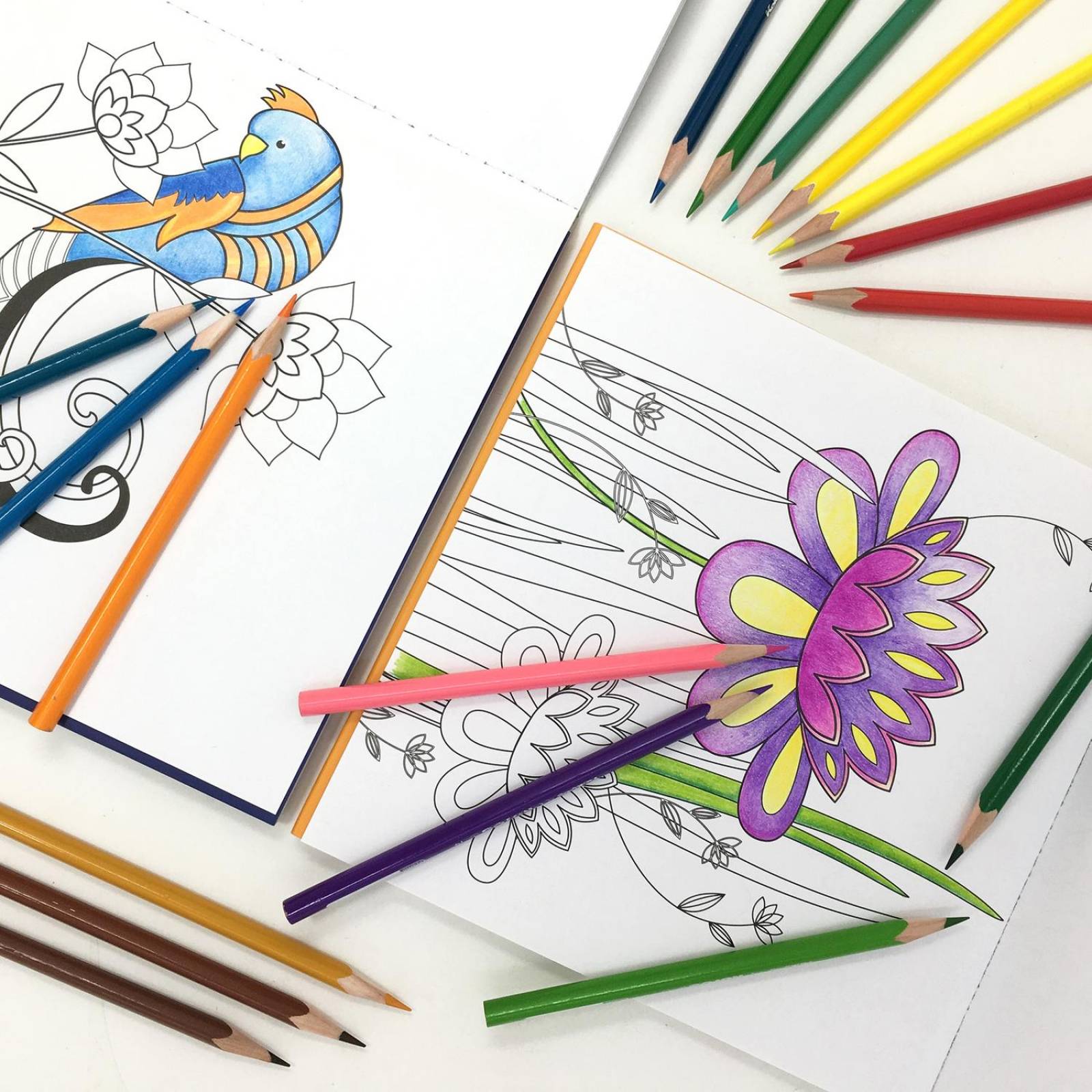 Blocks Para Colorear Flora y Aves incluyen 36 Lápices de Colores 