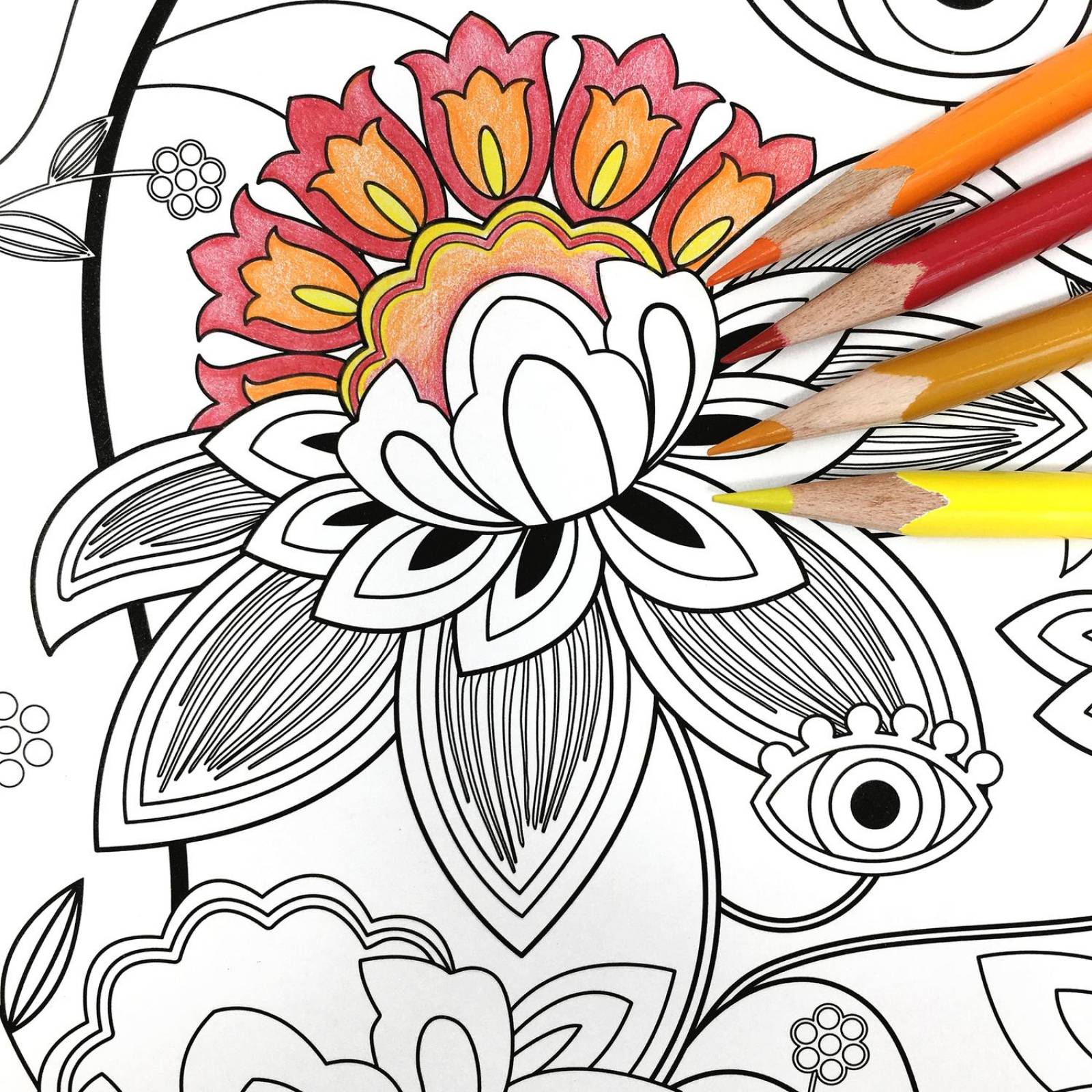 Blocks Para Colorear Flora y Aves incluyen 36 Lápices de Colores 