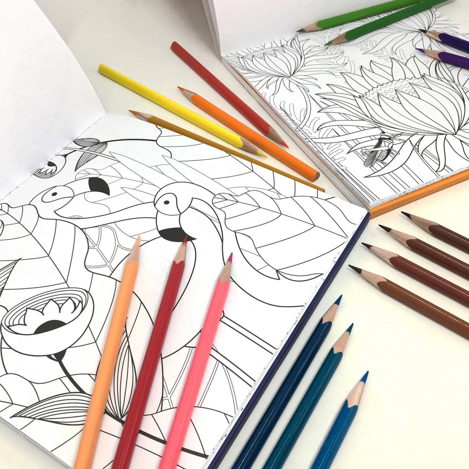 Blocks Para Colorear Flora y Aves incluyen 36 Lápices de Colores 