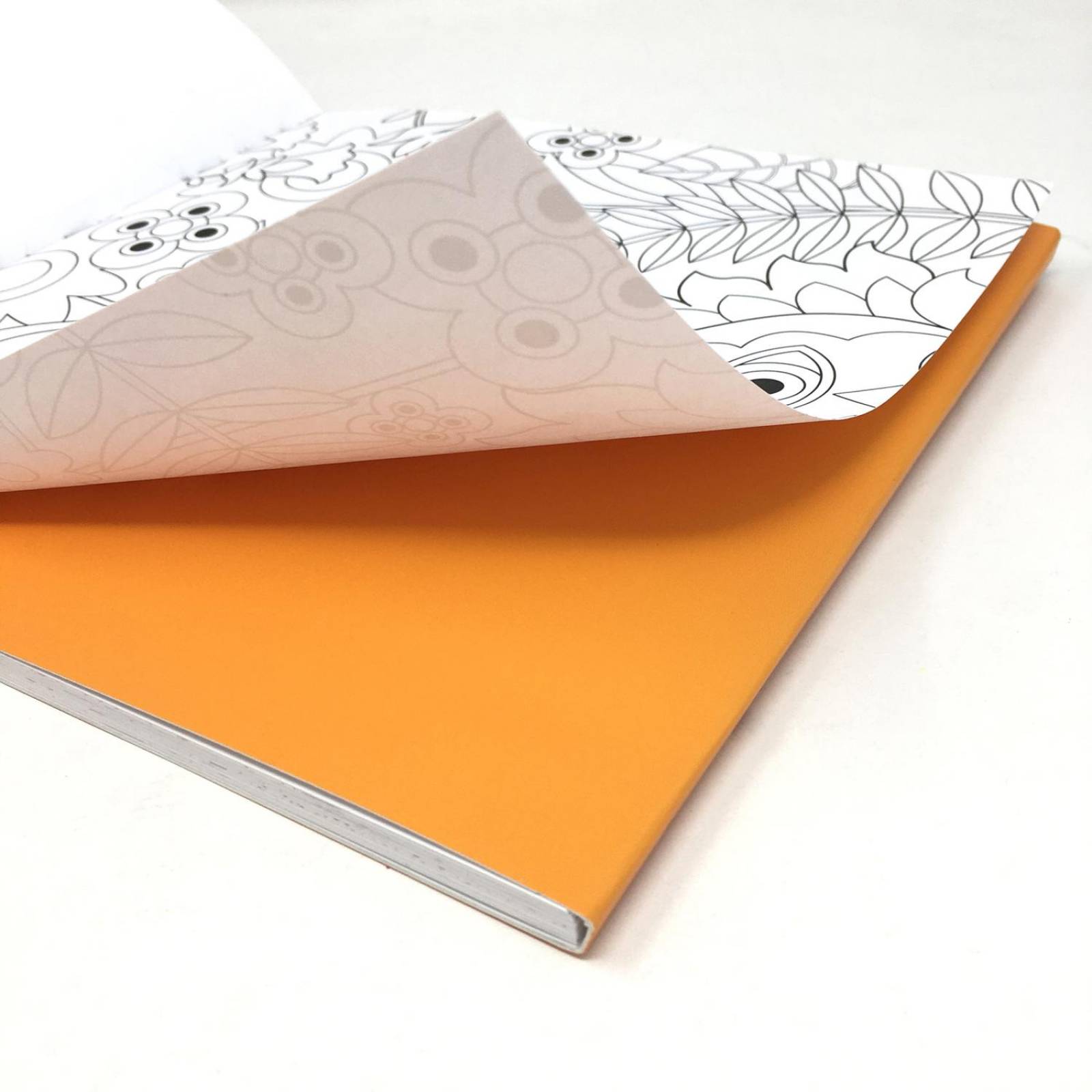 Blocks Para Colorear Flora y Aves incluyen 36 Lápices de Colores 