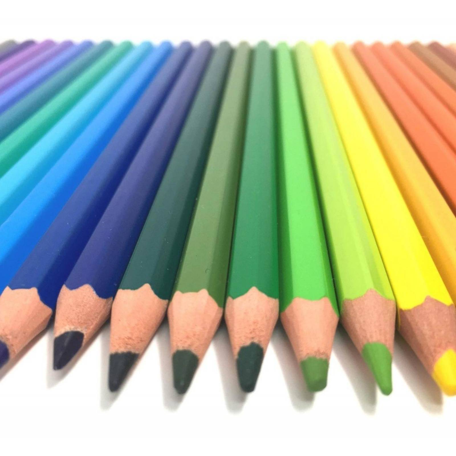 Colores Bic Evolution 36 Con Sacapuntas, Goma Y Dos Lápices 