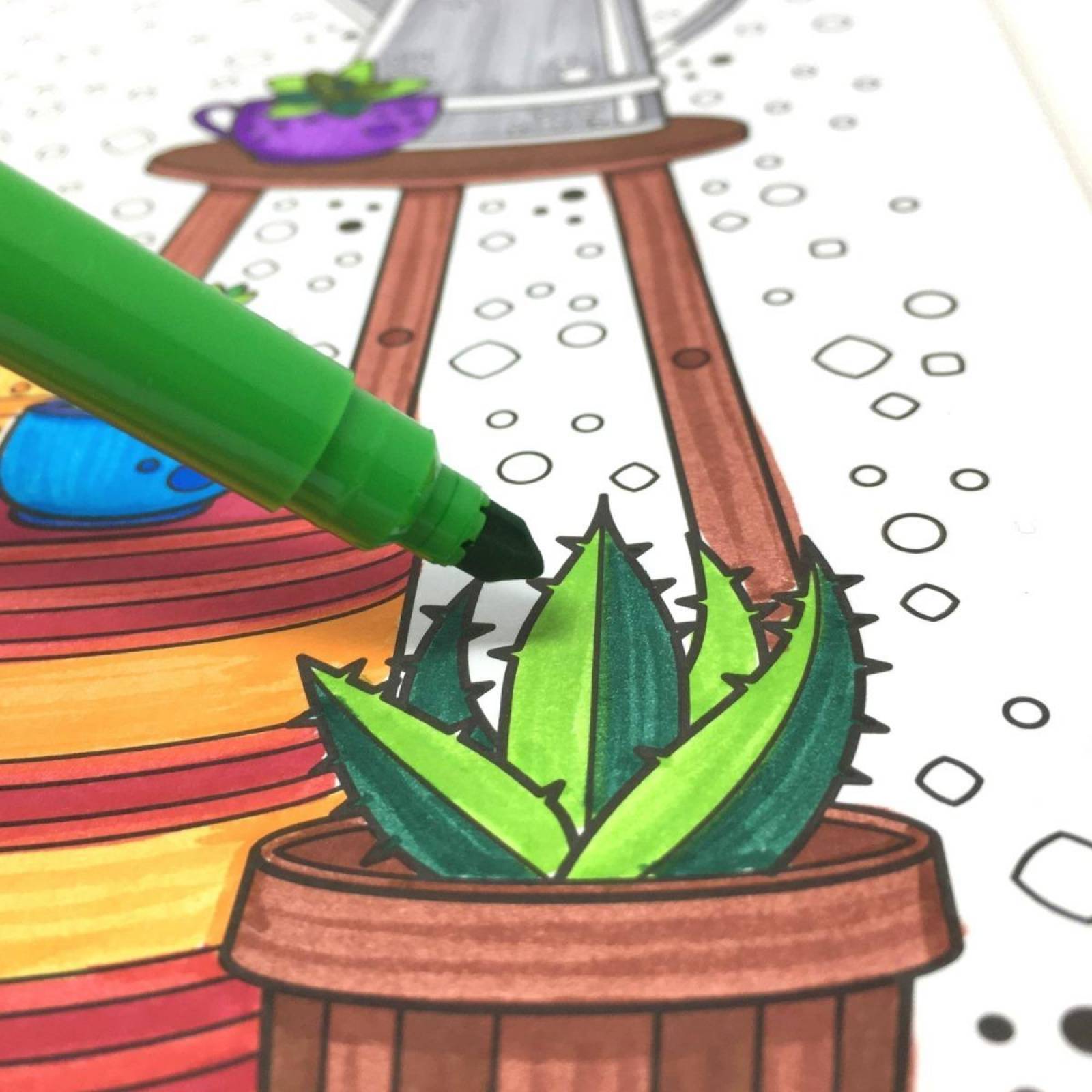 #Coloreandig Cactus Y Suculentas Con 24 Plumones Kores 