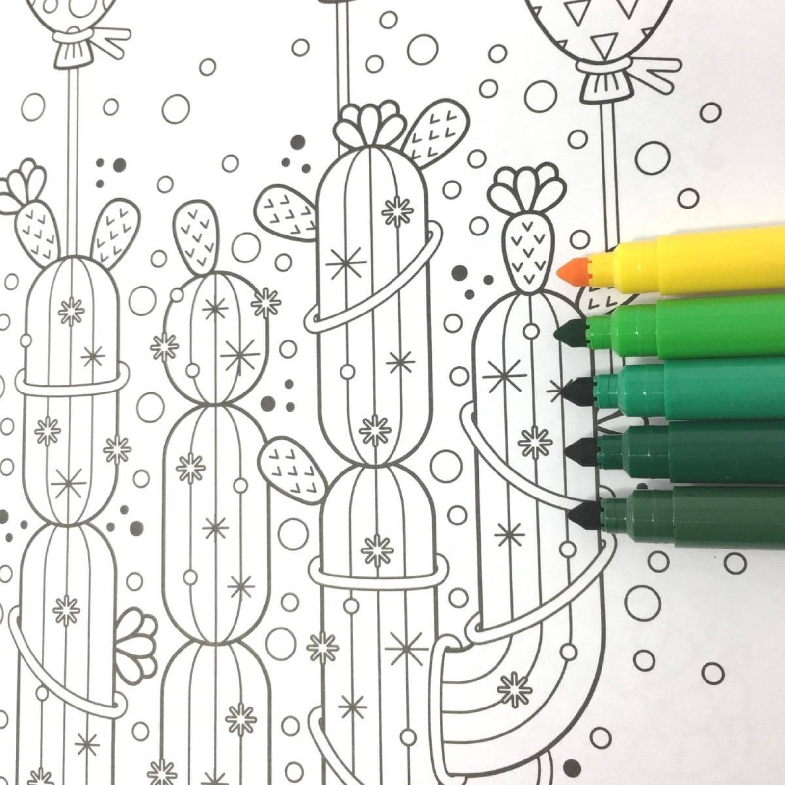 #Coloreandig Cactus Y Suculentas Con 24 Plumones Kores 