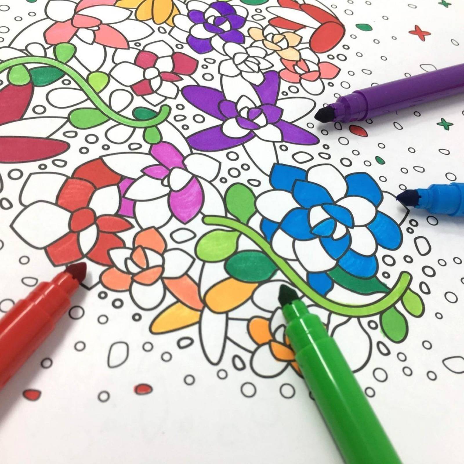 #Coloreandig Cactus Y Suculentas Con 24 Plumones Kores 