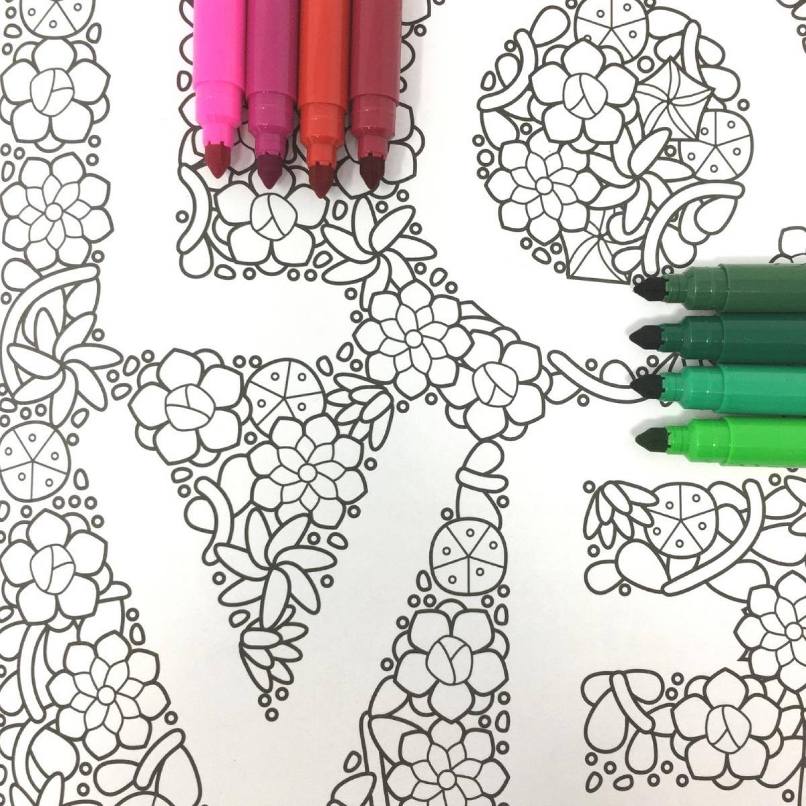 #Coloreandig Cactus Y Suculentas Con 24 Plumones Kores 