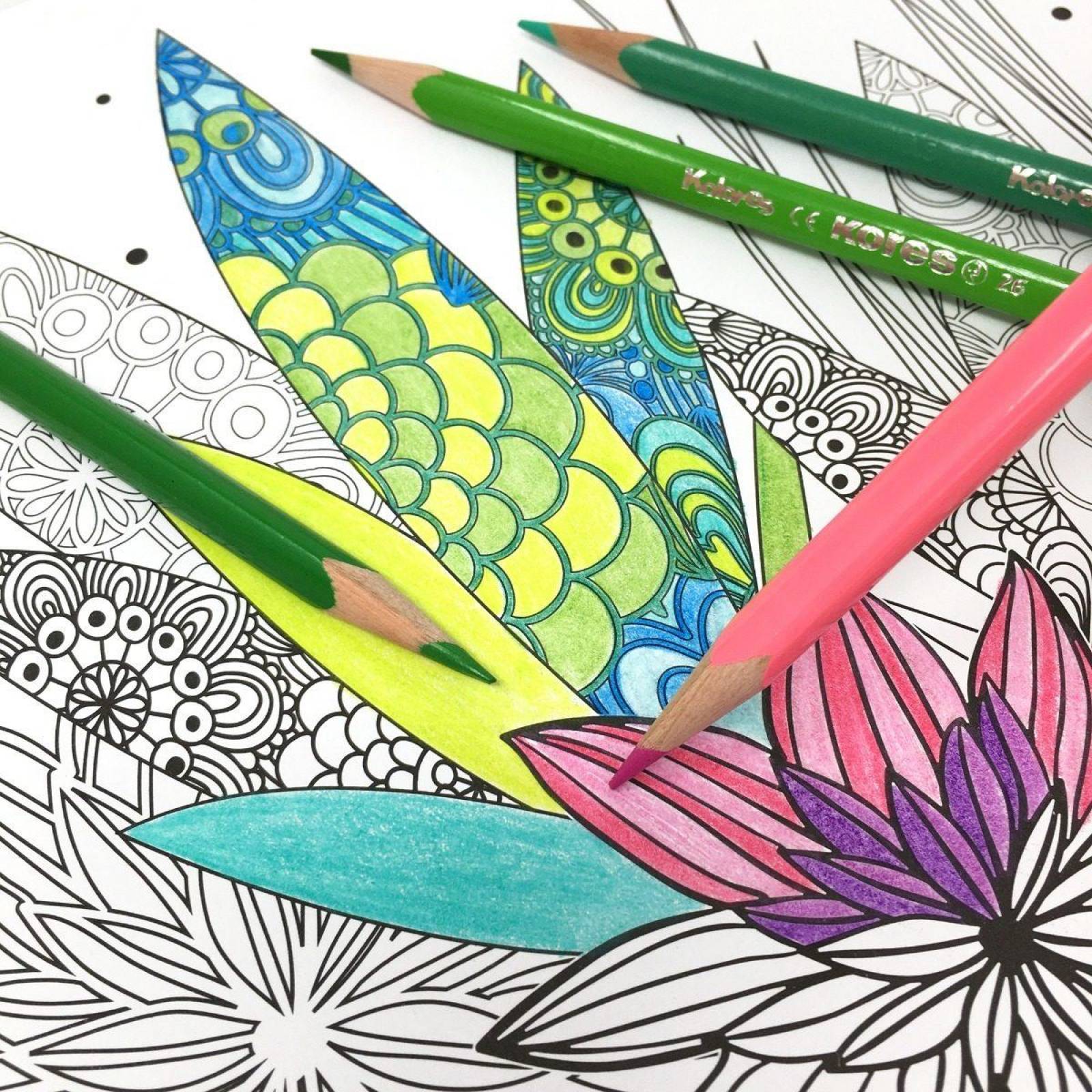 Blocks Para Colorear Acqua y Natura Incluyen 36 Lápices de Madera 