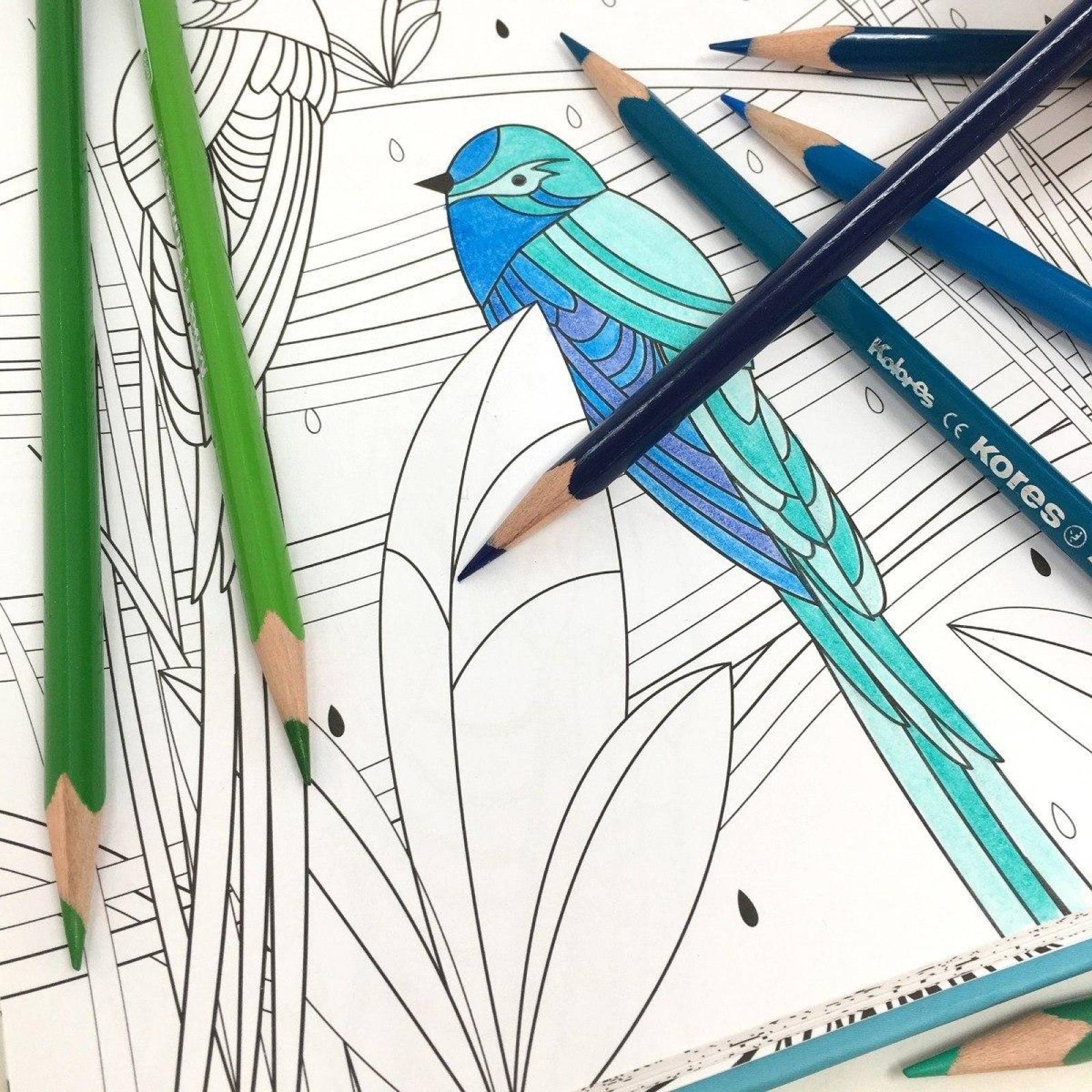 Blocks Para Colorear Acqua y Natura Incluyen 36 Lápices de Madera 