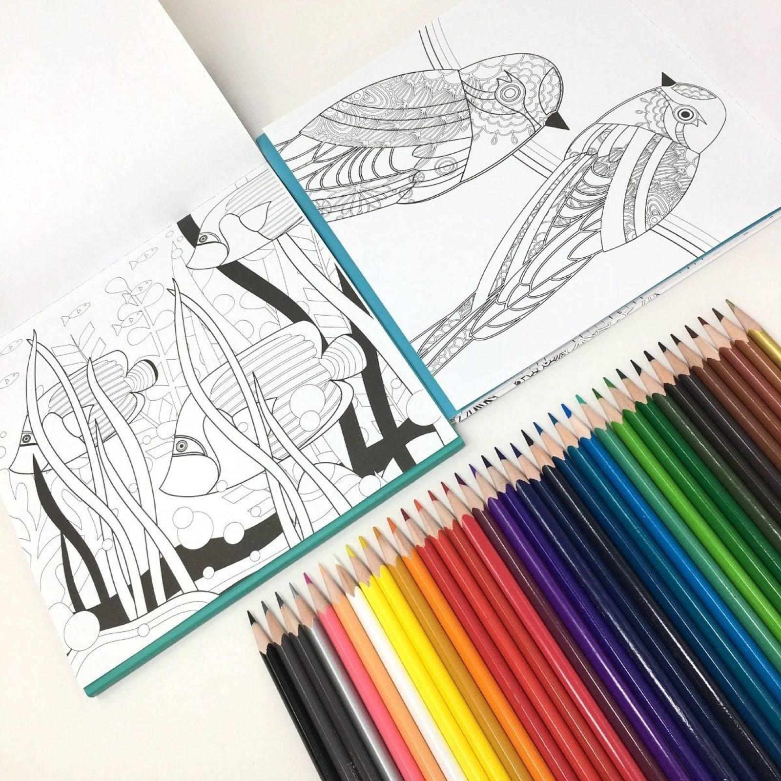 Blocks Para Colorear Acqua y Natura Incluyen 36 Lápices de Madera 