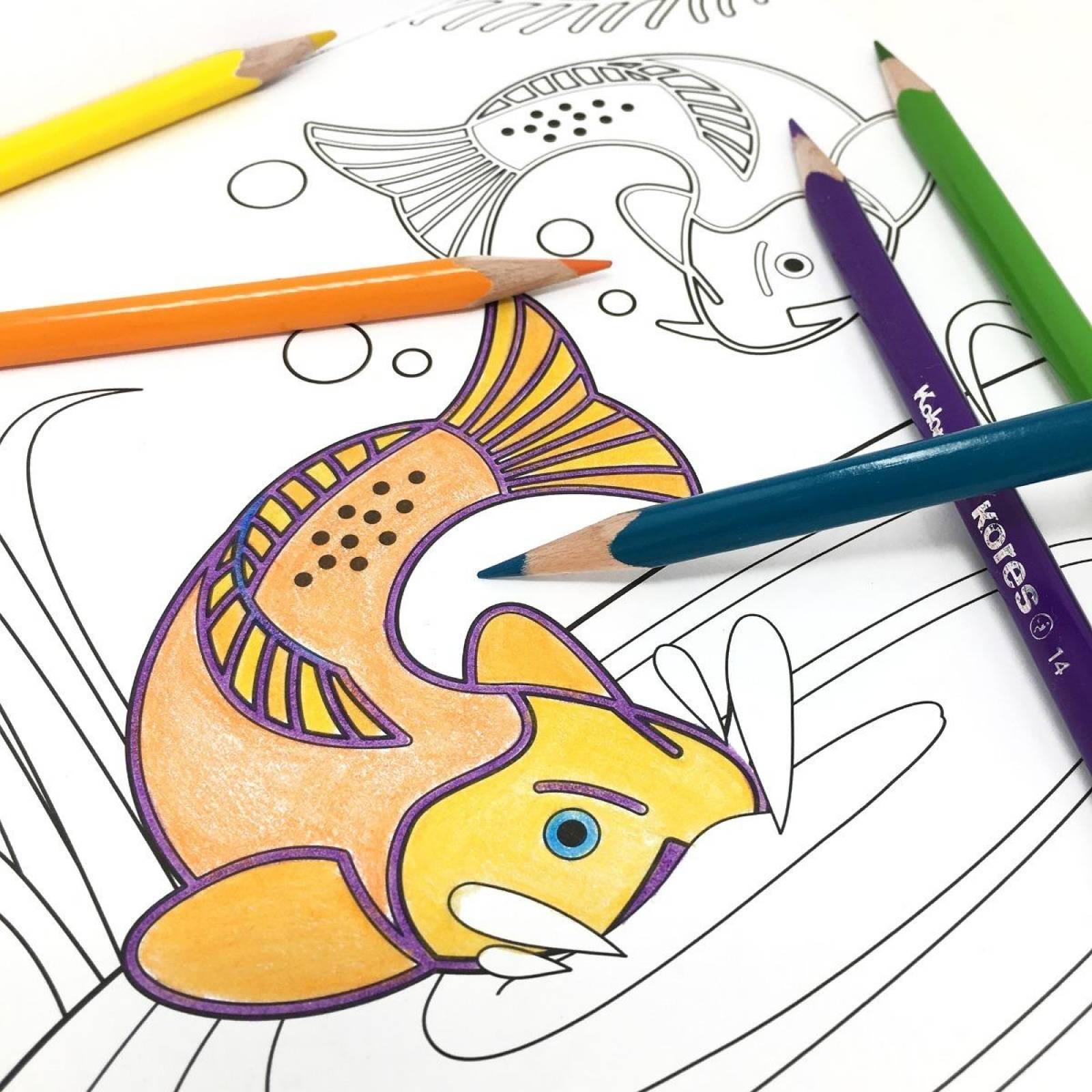 Blocks Para Colorear Acqua y Natura Incluyen 36 Lápices de Madera 