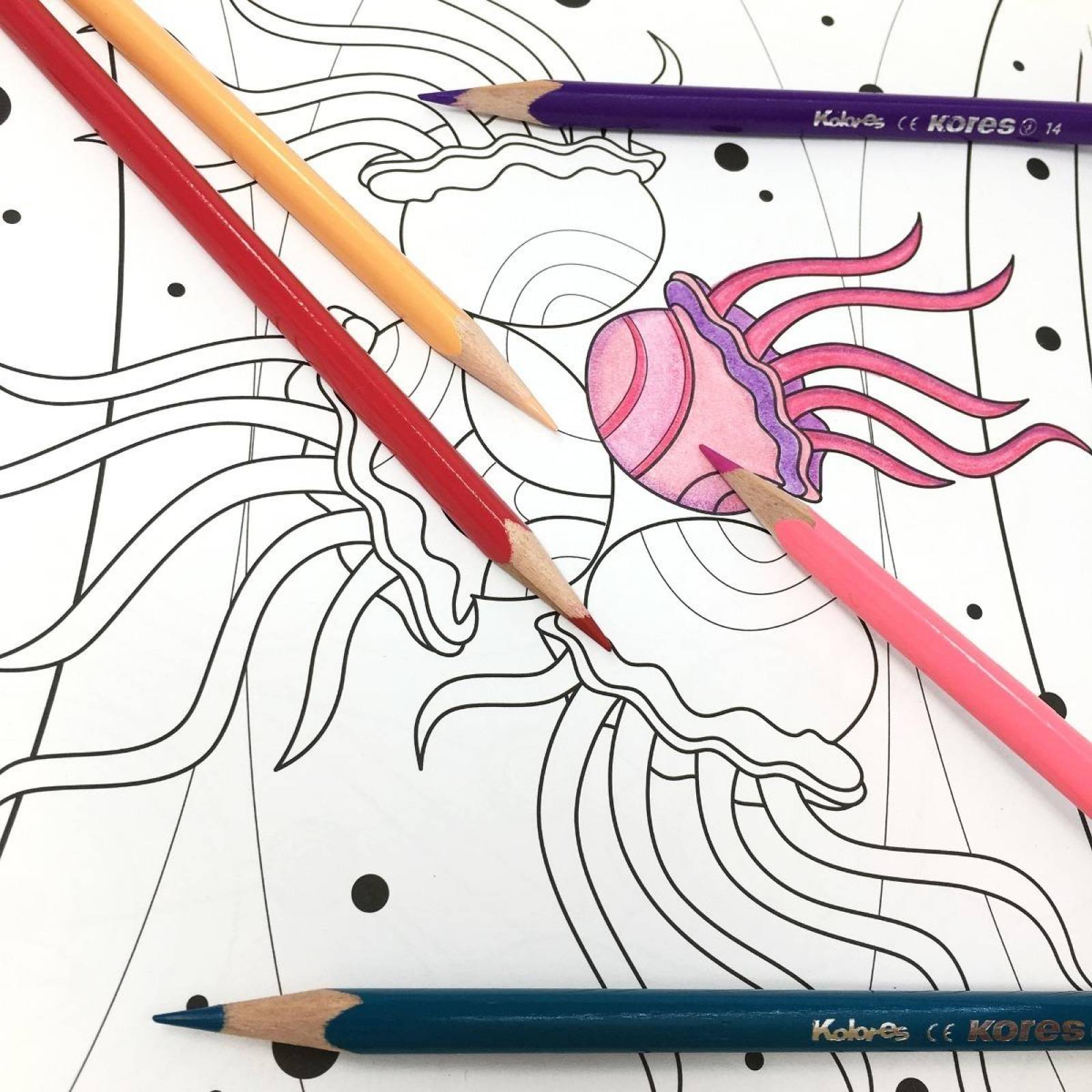 Blocks Para Colorear Acqua y Natura Incluyen 36 Lápices de Madera 