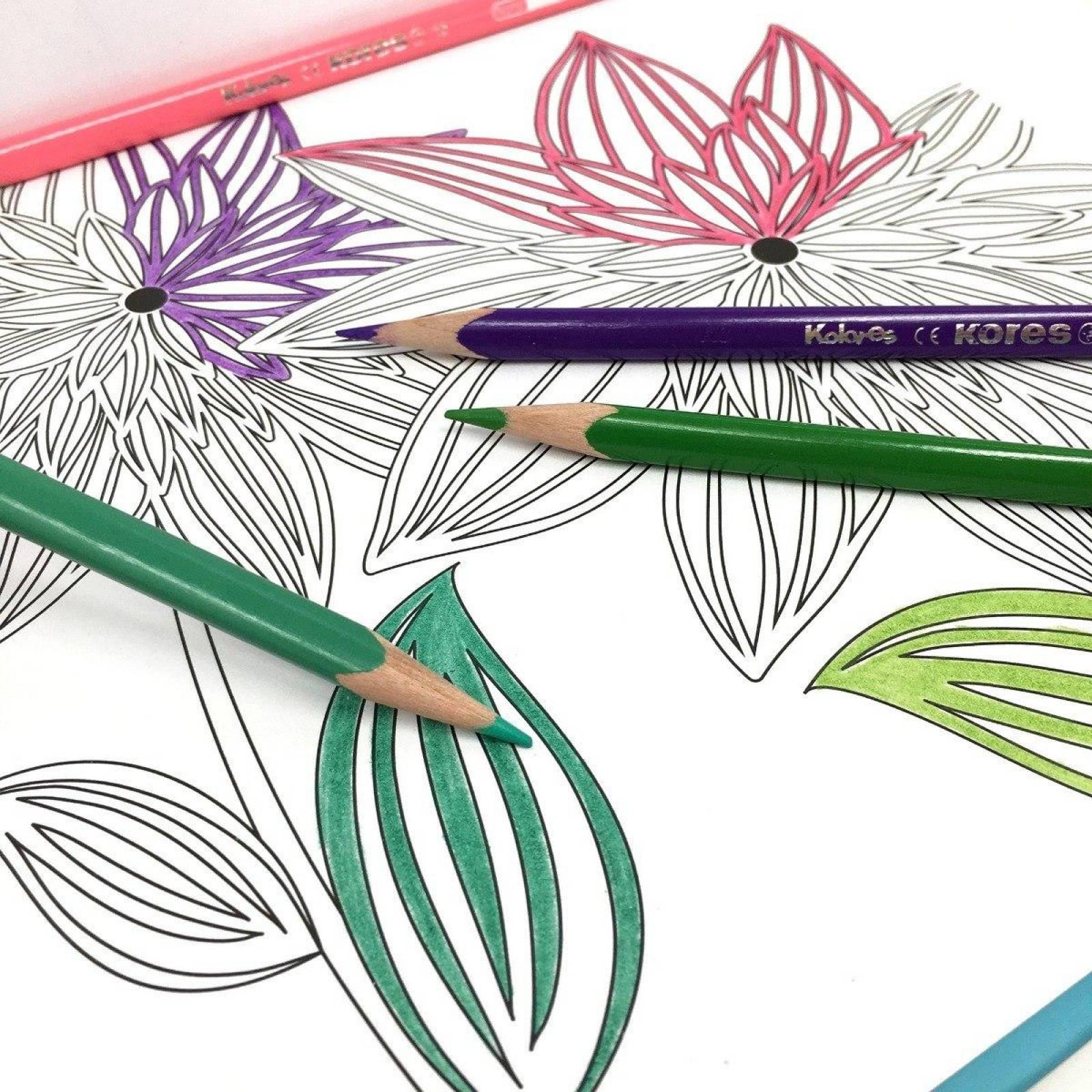 Blocks Para Colorear Acqua y Natura Incluyen 36 Lápices de Madera 