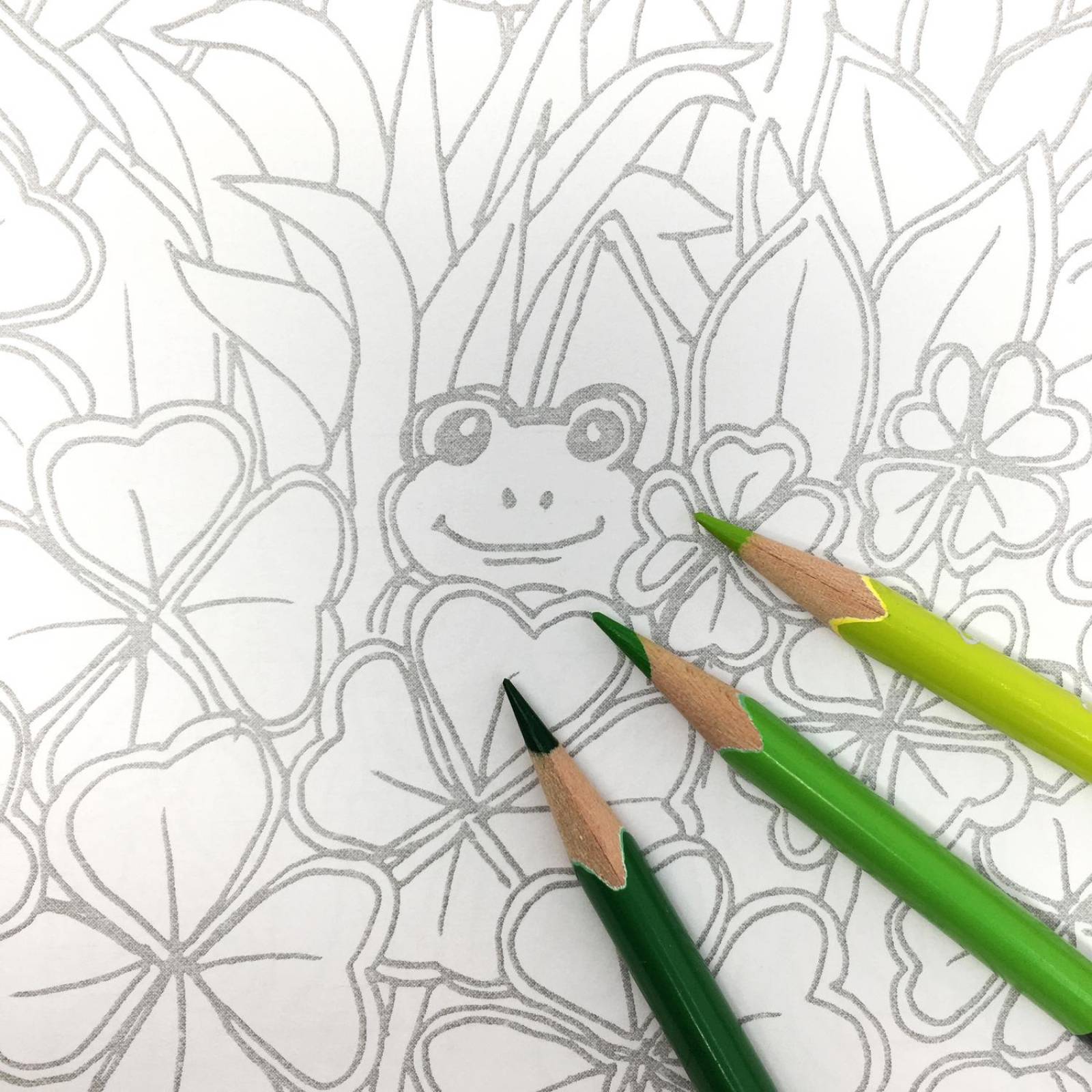 Block diseños de Plantas para Colorear Y 24 lápices Bicolores 