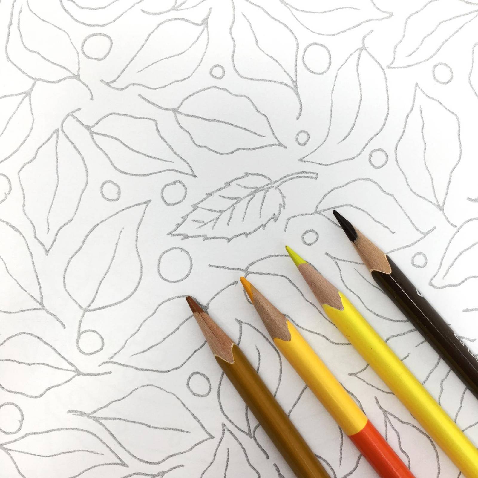 Block diseños de Plantas para Colorear Y 24 lápices Bicolores 