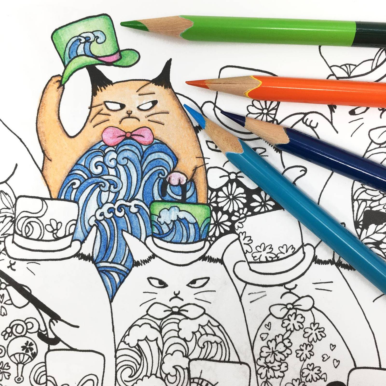 Libro Para Colorear Un Millón de Gatos con Colores de Madera 24x2 