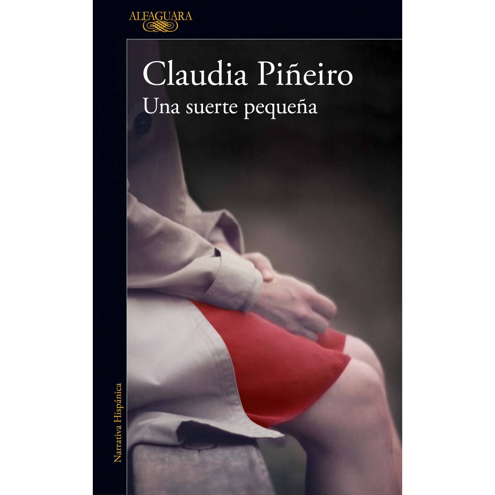 Una suerte pequeñaAutorPiñeiro, Claudia