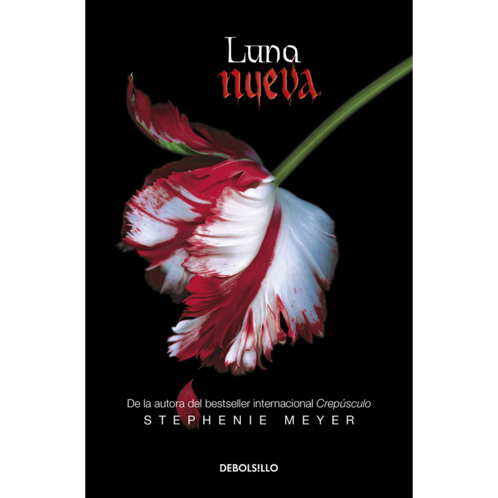 Luna nueva