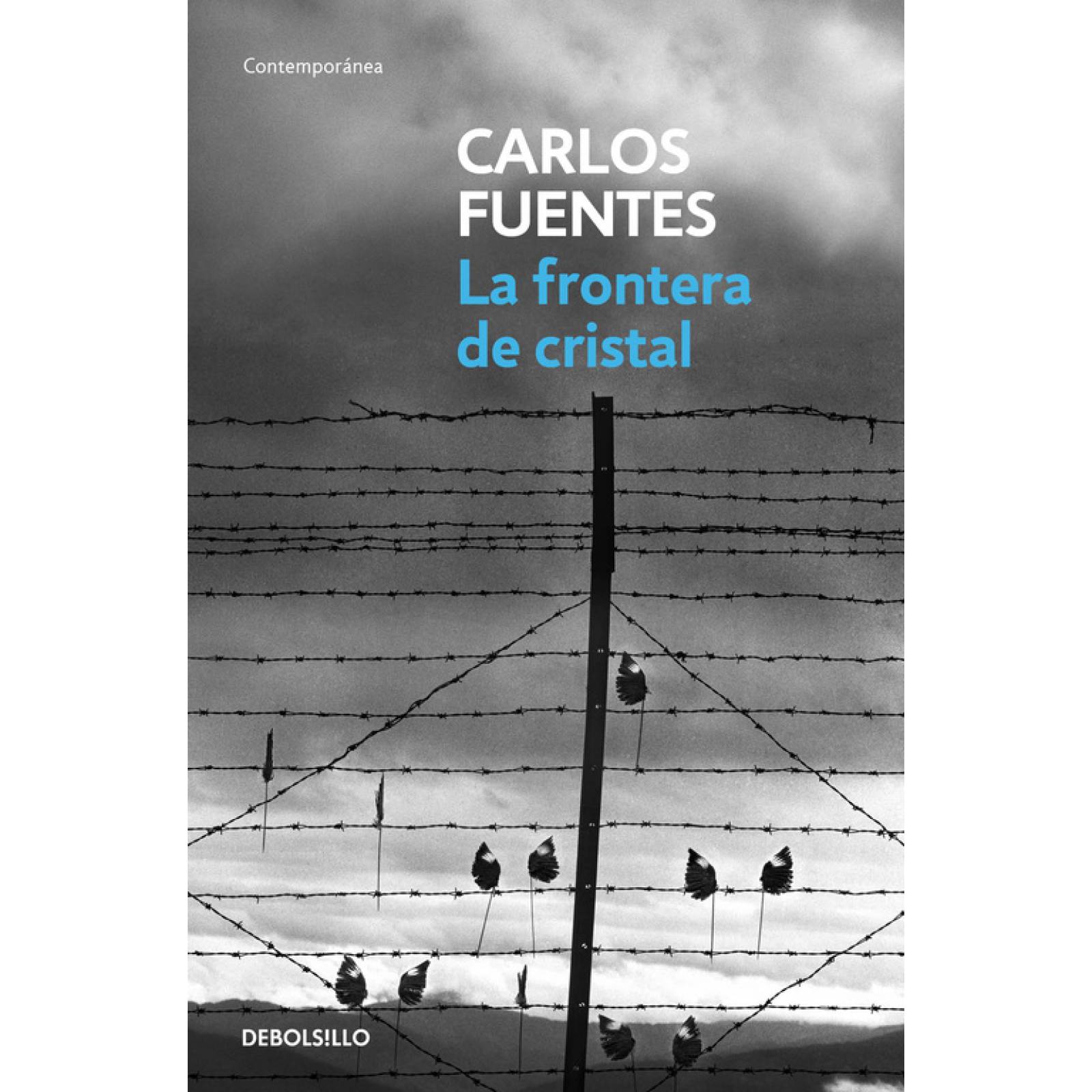 La frontera de cristal