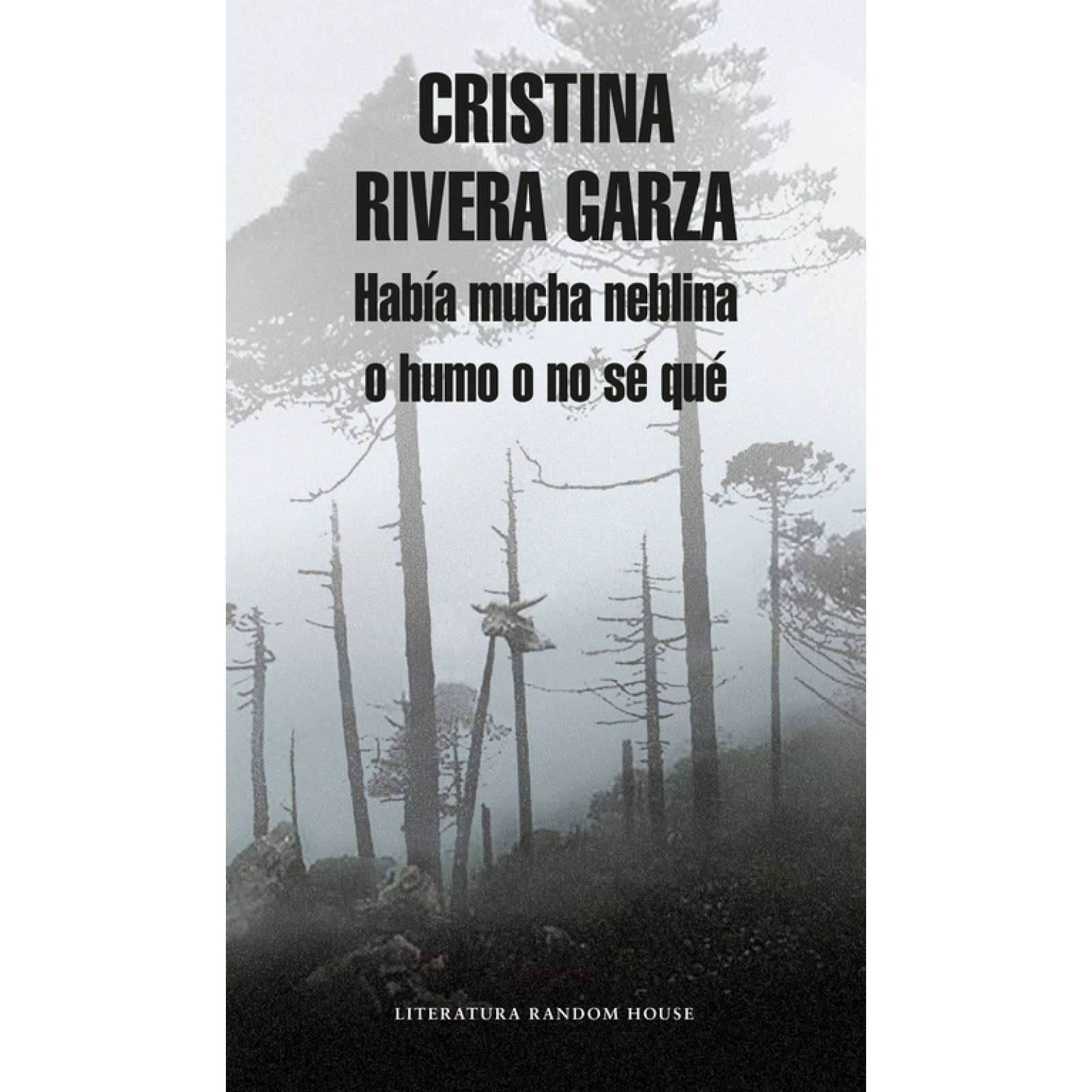 Había mucha neblina o humo o no sé qué