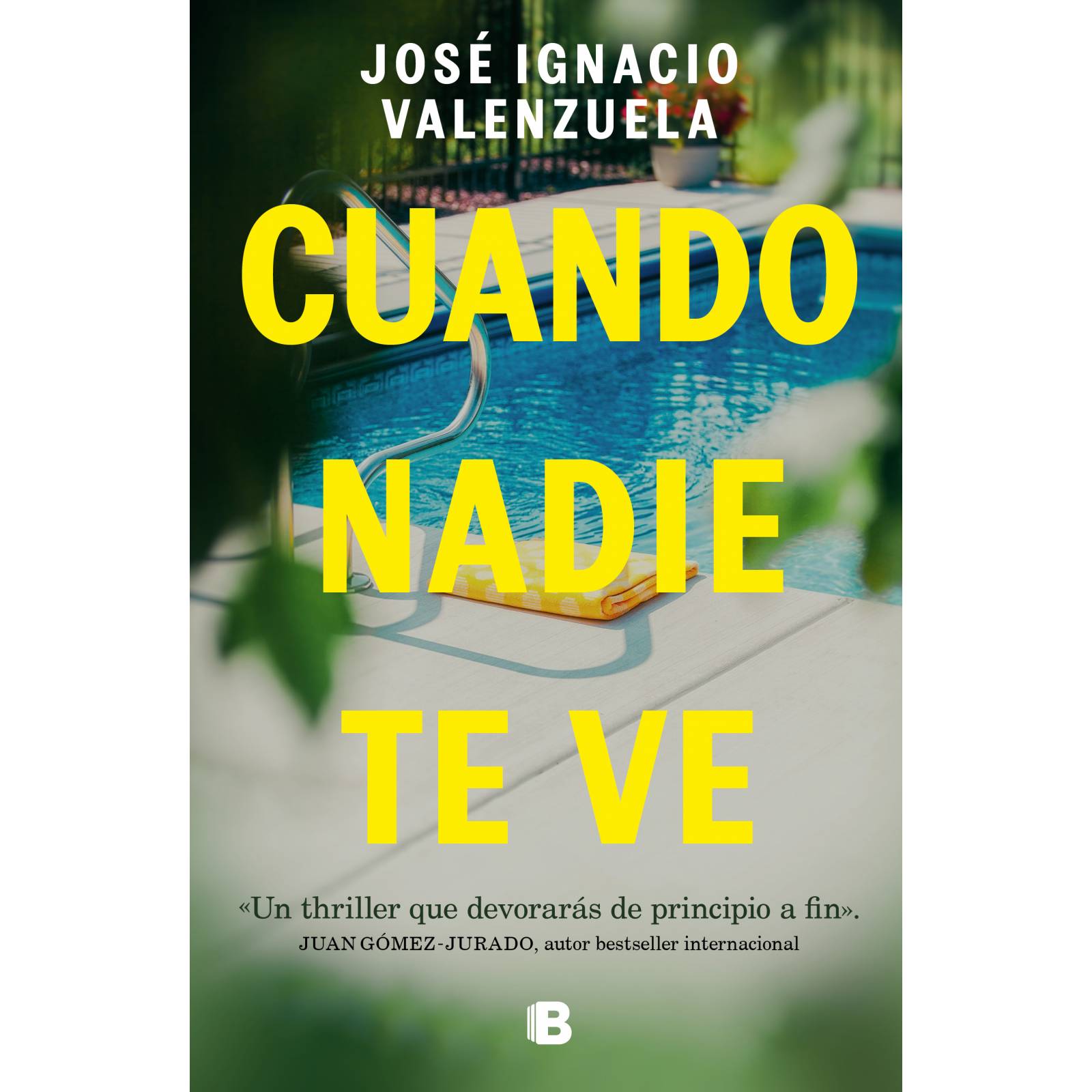 Cuando nadie te ve Autor José Ignacio Valenzuela