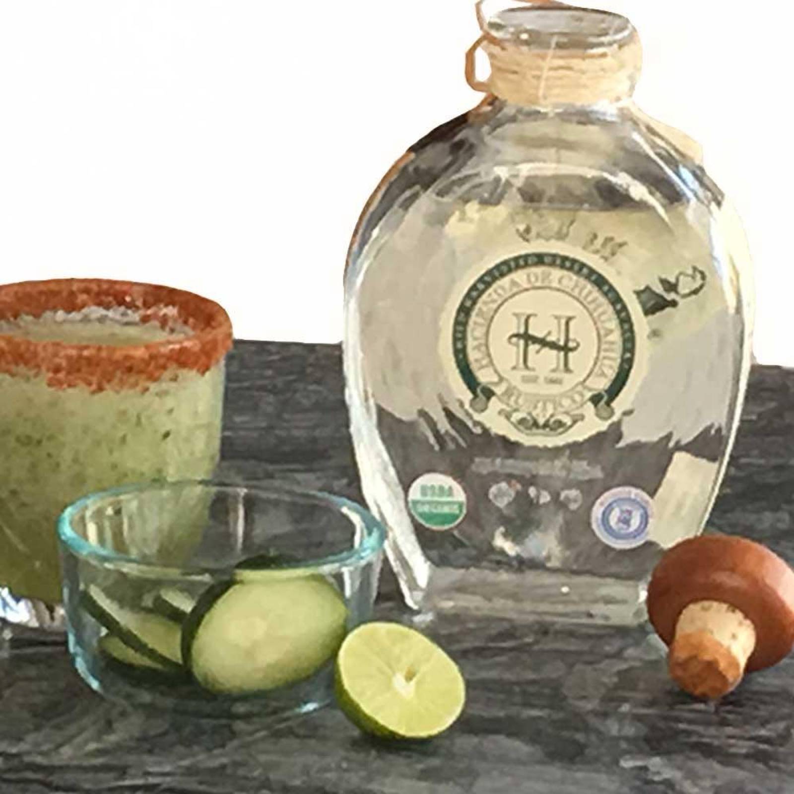 Sotol Hacienda de Chihuahua Rustico Caja c 12