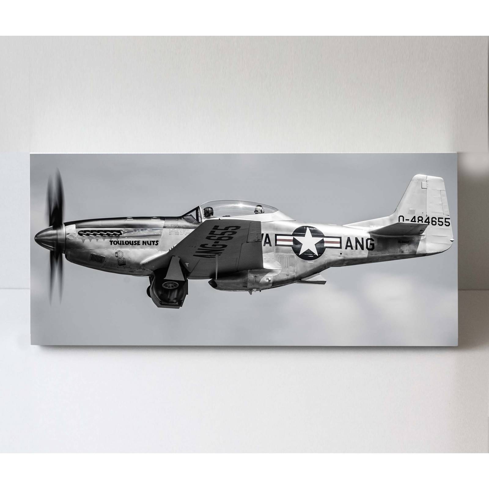 Cuadro Decorativo Canvas Avión TF-51D Mustang 160x80