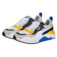 Puma De Colores