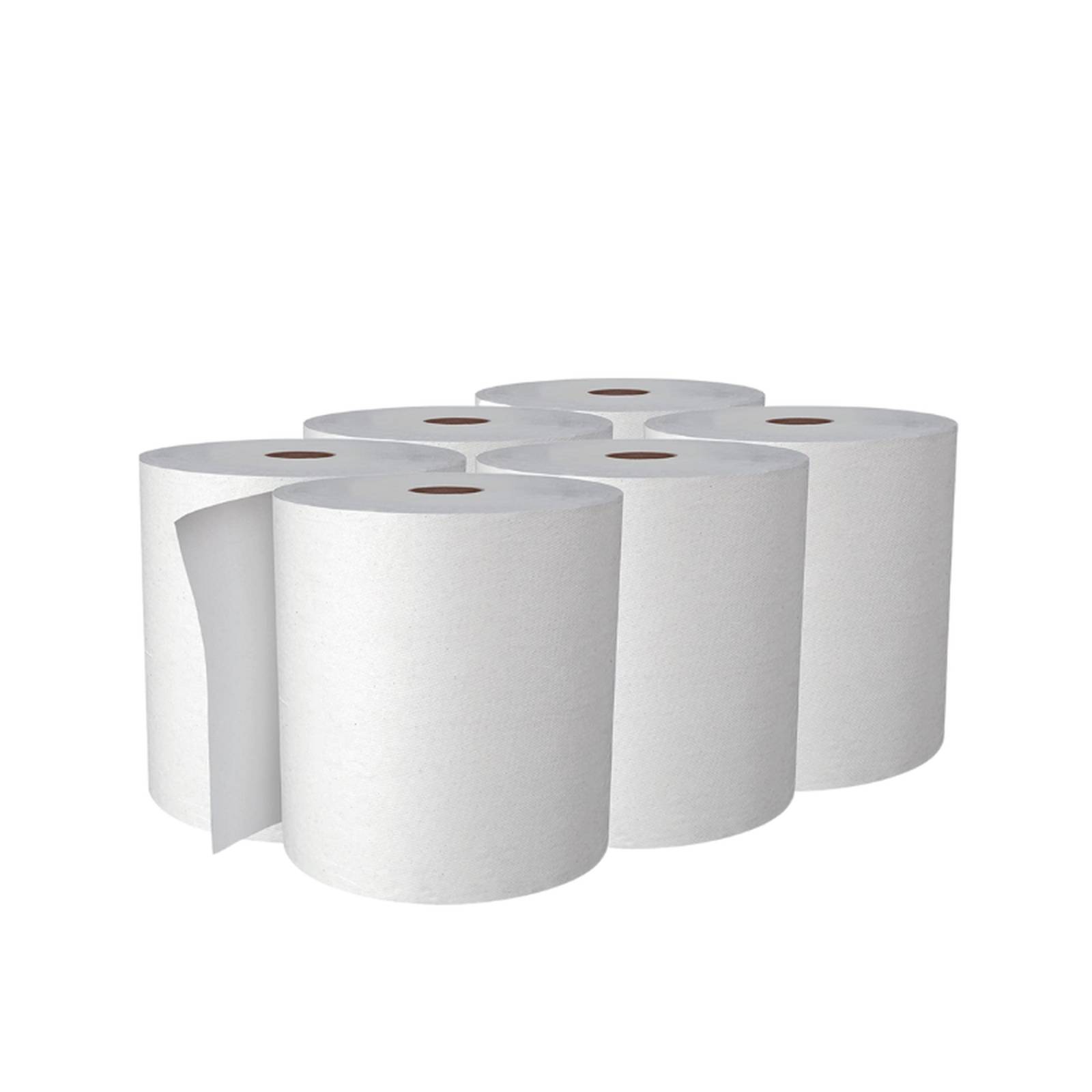 6 Rollos De Toalla Para Manos Scott Brand 