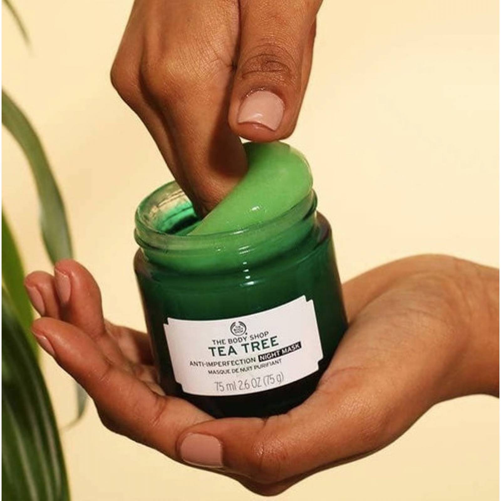 Mascarilla Nocturna Tea Tree The Body Shop Árbol De Té