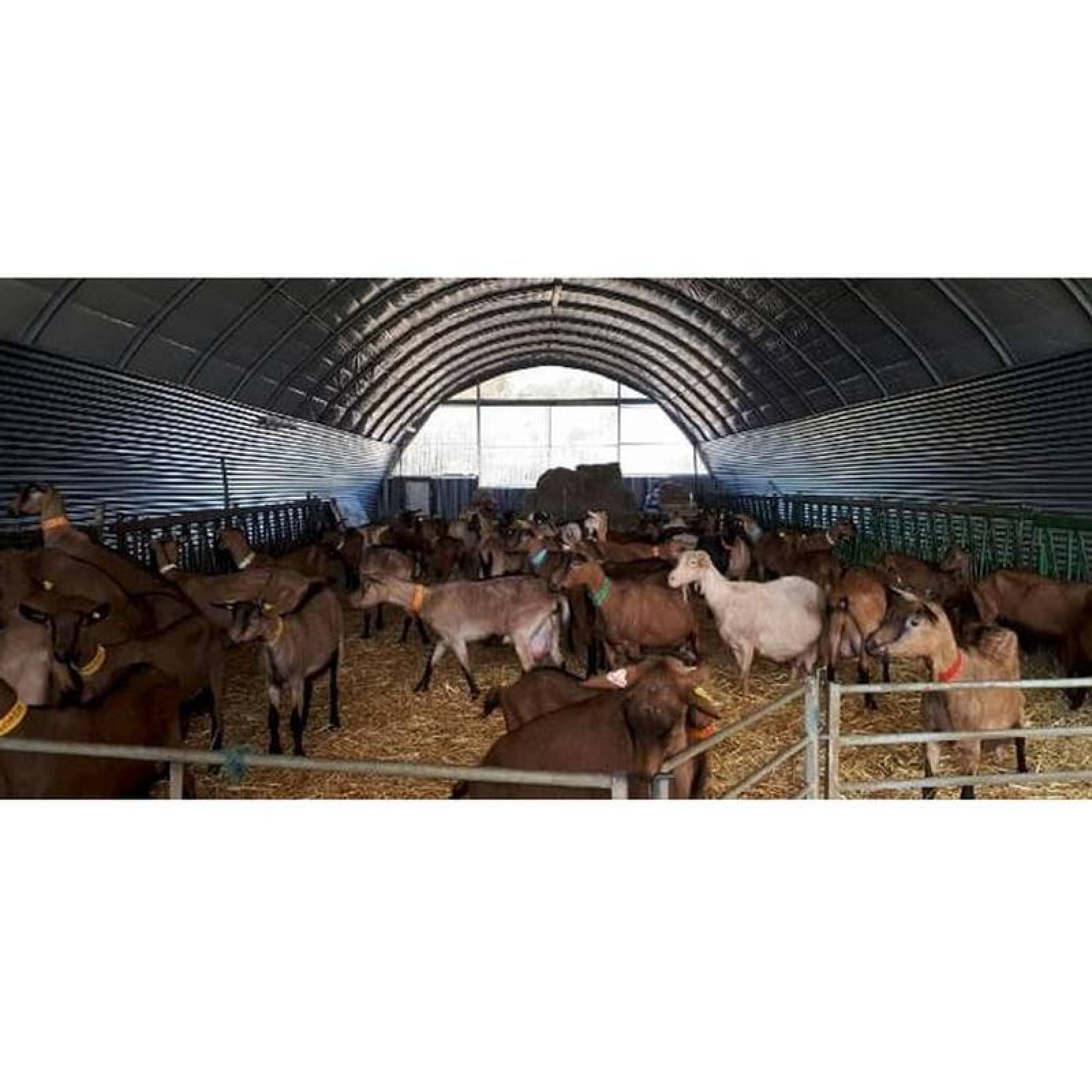 Aislantes Termicos para Tubos, MXCHK-001-17, Inflamabilidad menor 5%, 56mx1.35m, 75m2, 2 capas; 1 Metalizado, 1 Kraft., ChikFoil