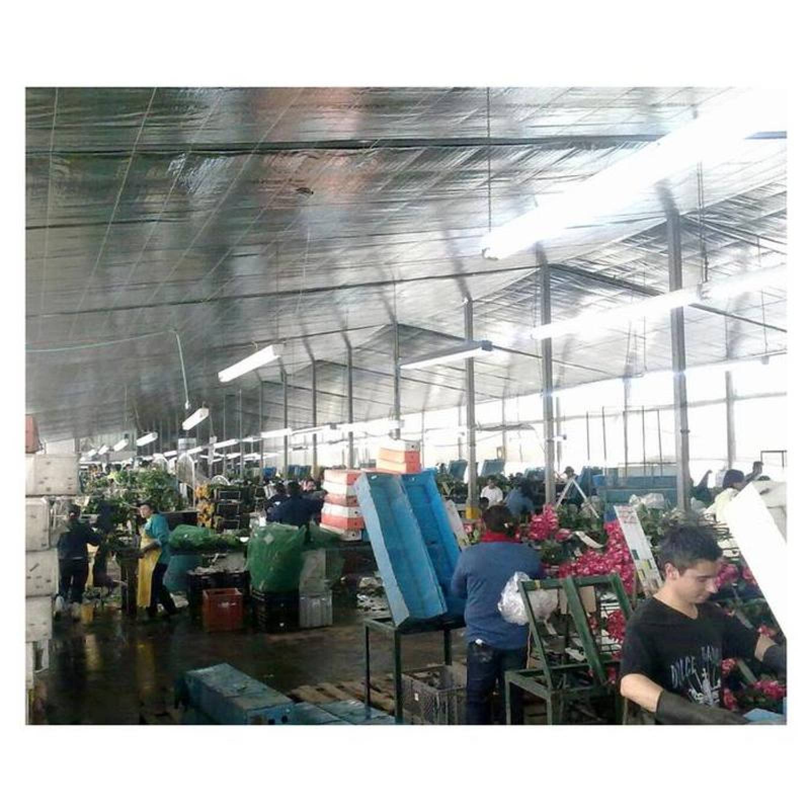 Aislante en Rollo Papel Aluminizado, MXOIL-001-24, Inflamabilidad menor 5%, 56mx1.35m, 2 capas; 1 Metalizado , 1 papel Kraft., LuxFoil