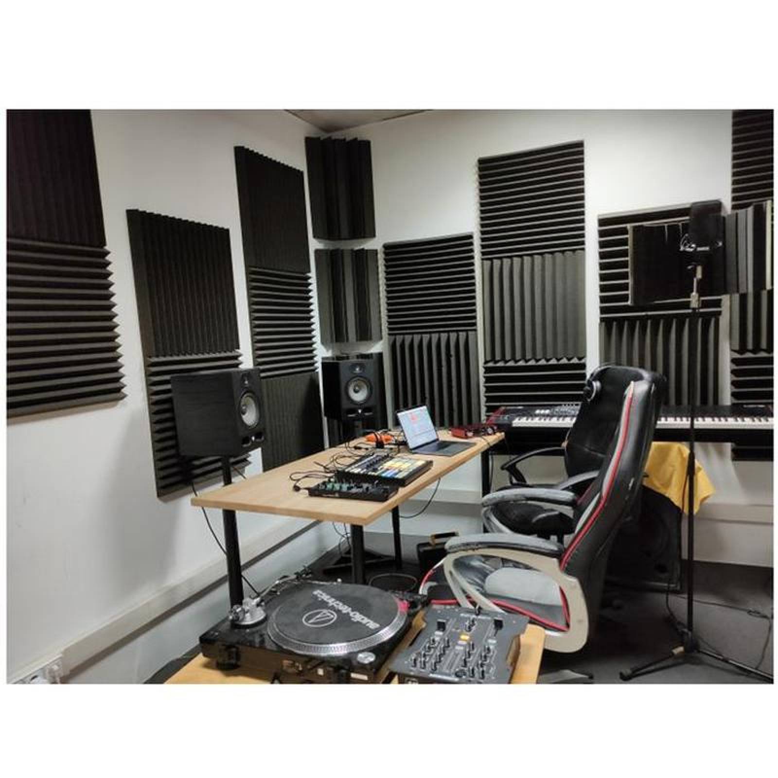 Hule Espuma Acustica Estudio, MXPYF-001-21, 0.80NCR, 1m x 1.20m, 2"Espesor, Rollo, PyraFoam