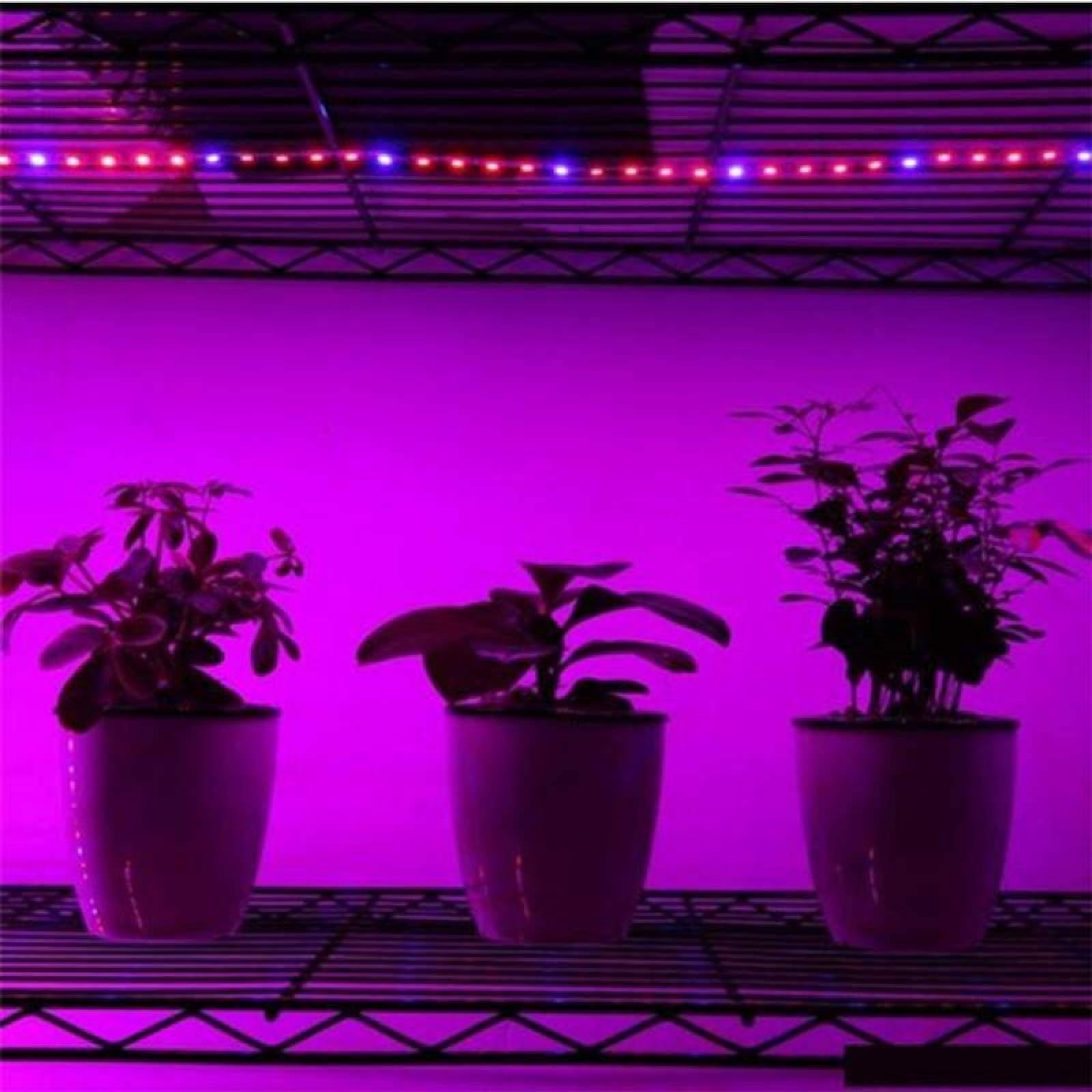 Tiras LED UV de Luz Cálida, MXGWS-002-1, 1Pza, 2m, 5V, Plástico, USB, Fotosíntesis y Crecimiento de Plantas,, GrowStrip