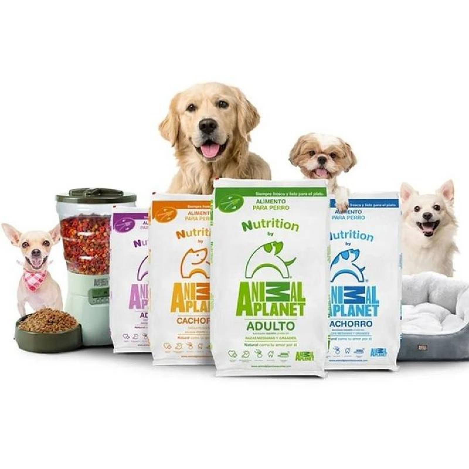 Comida para Perro Animal Planet, MXAPC-002-7, 8 Kg, Croquetas, Cachorro Raza Mediana y Grande., Animal Planet Nutrition Cachorro Razas Medianas y Grandes