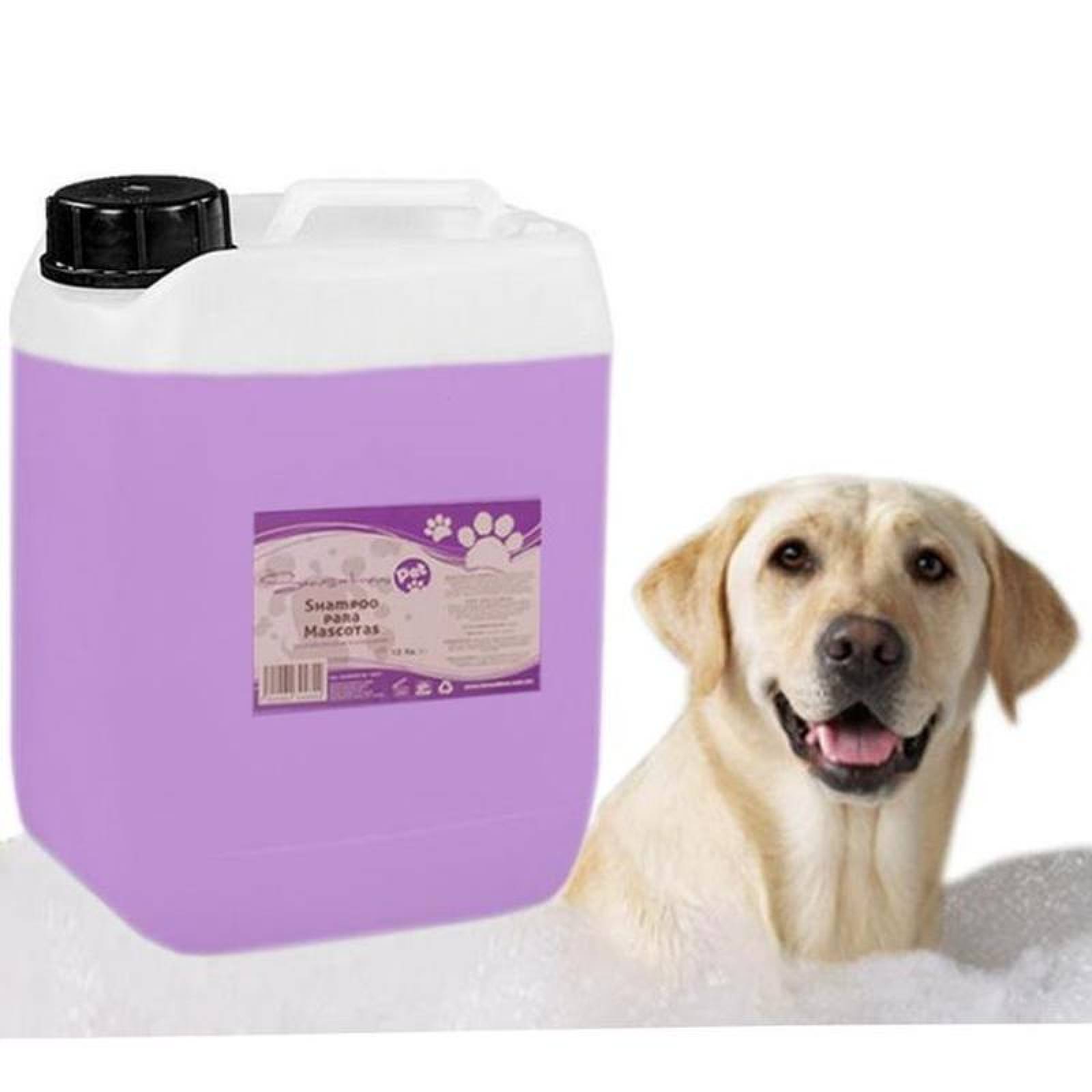 Jabon Liquido para Gato baño MXFUF-003-10 10L Lavanda Perros y Gatos Liquido Color Violeta, FreshFun