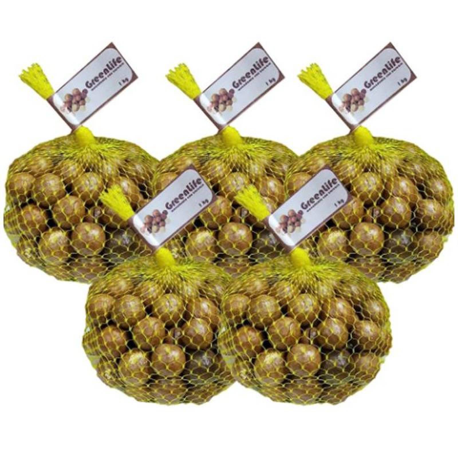 Nuez de Macadamia Organica Natural MXMCG-004-4 5Kg Nuez Macadamia Orgánica Con Cascara Natural, Macadamia Natural Con Cascara