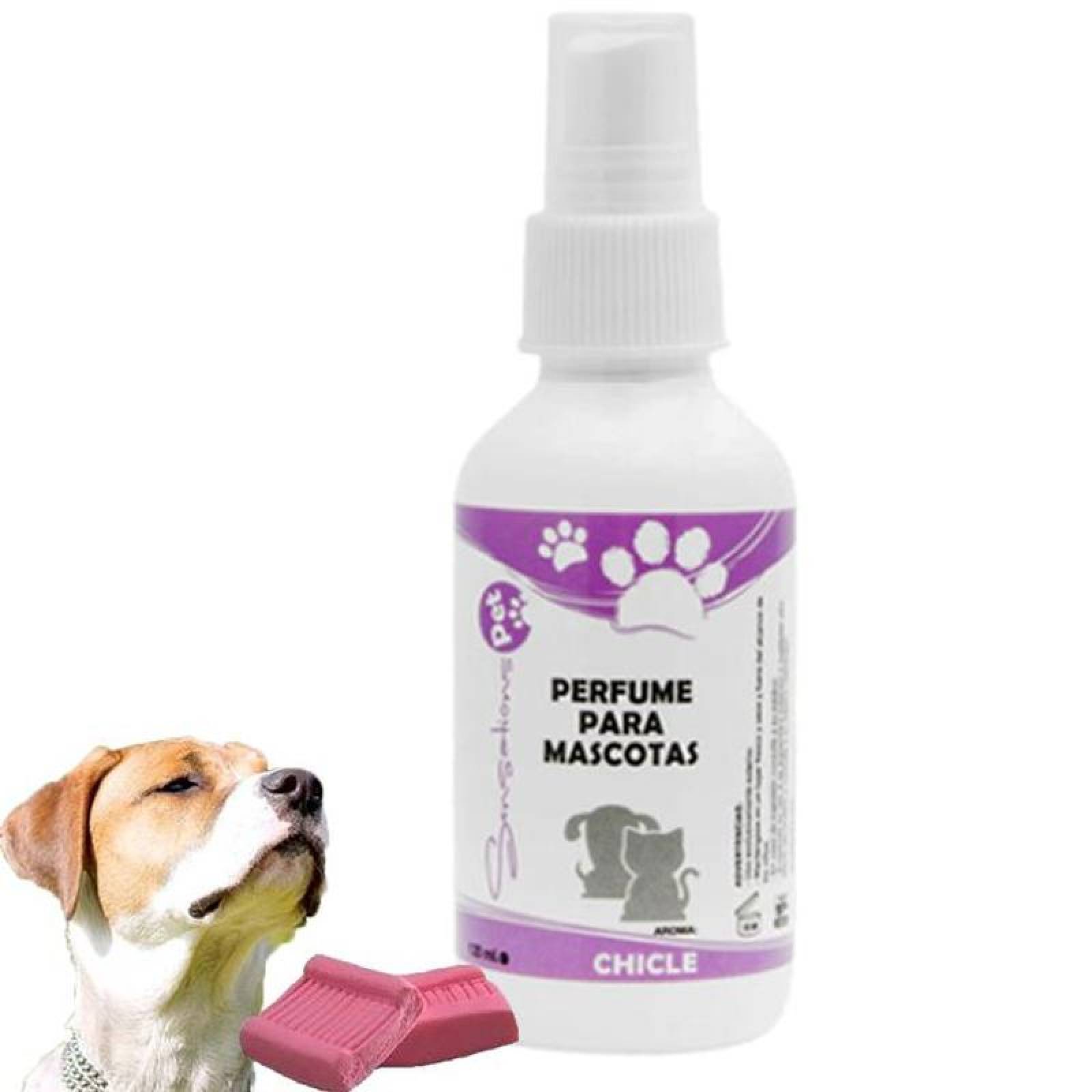 eres un entrenador de perros con botella de spray