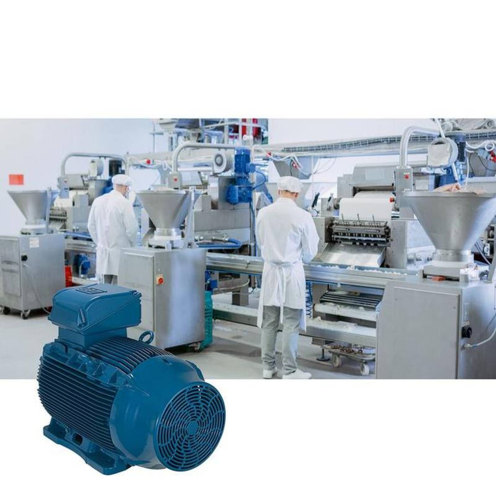 Motor Trifasicos de Buena Calidad MXPRM-047 50HP 2 Polos 37kw 208-230460V 3F Factor de Servicio 1,15, PremiumMotor