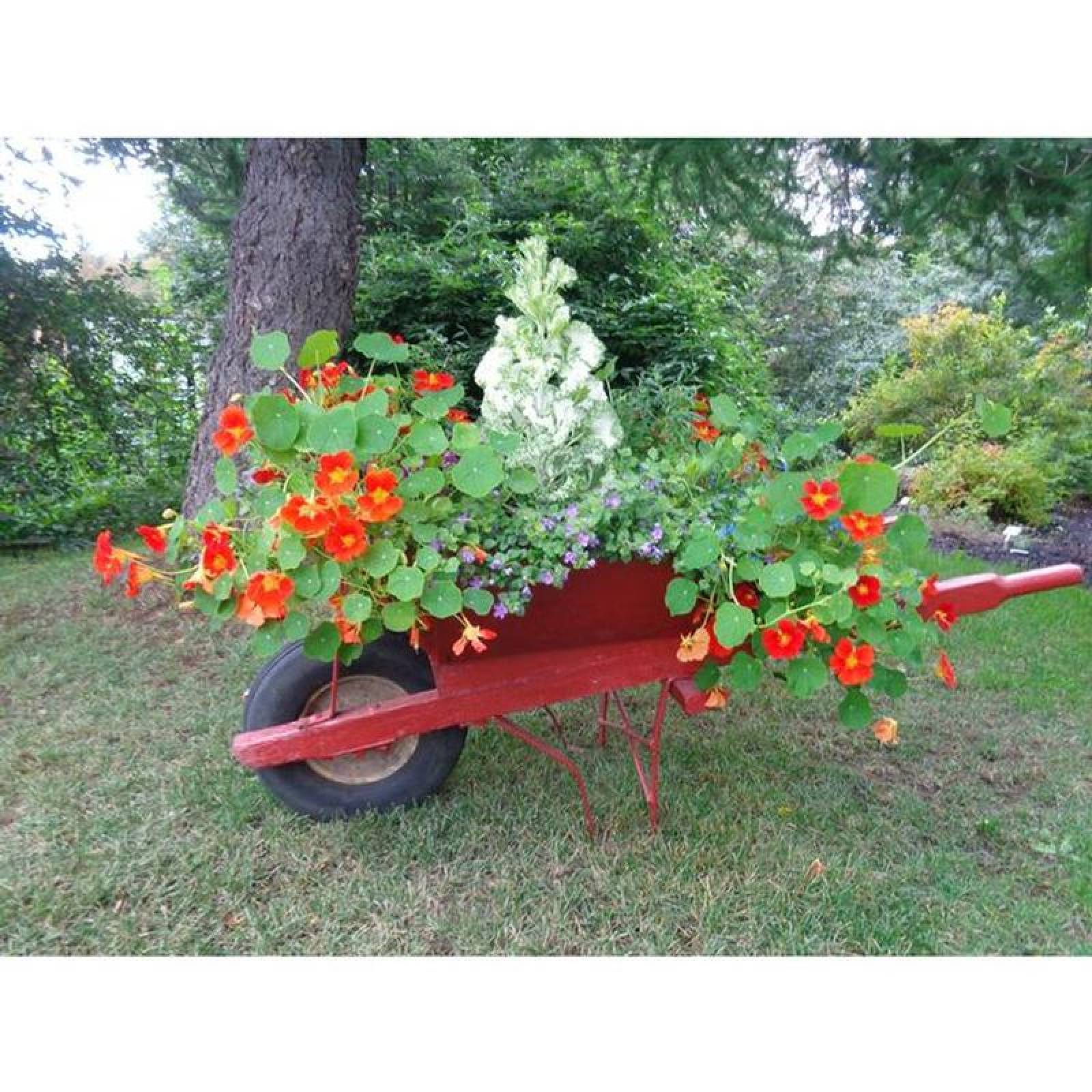  Carretilla para ganadería, MXWWD-002-1, 0.16m3, 105L, Llanta Reforzada, Concha C.20, Rojo, WheelbarrowRed
