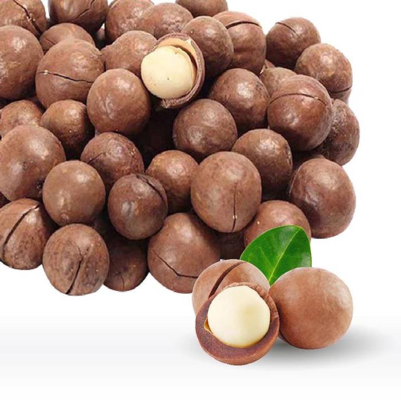 Nueces de Macadamia Orgánica MXMDG-003-1 3pzas 3x10kg Nuez de Macadamia Kernel Bolsa Sellada Macadamia Natural a Granel GreenLife