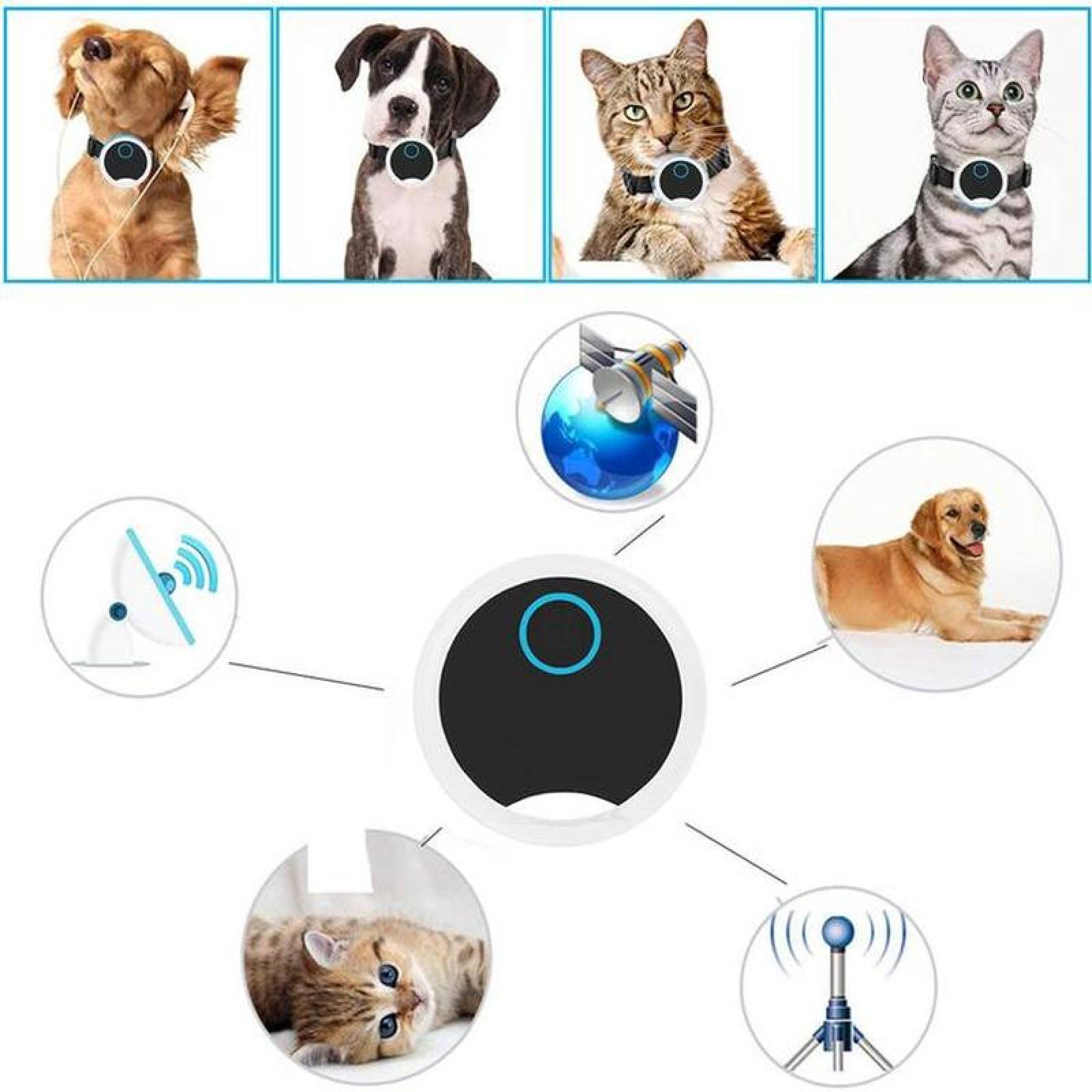 GPS para Caballos con chip, MXPKT-001-30, 1pza, 30 m a 50 m, CR2025, ABS, Negro,, TrackXpro